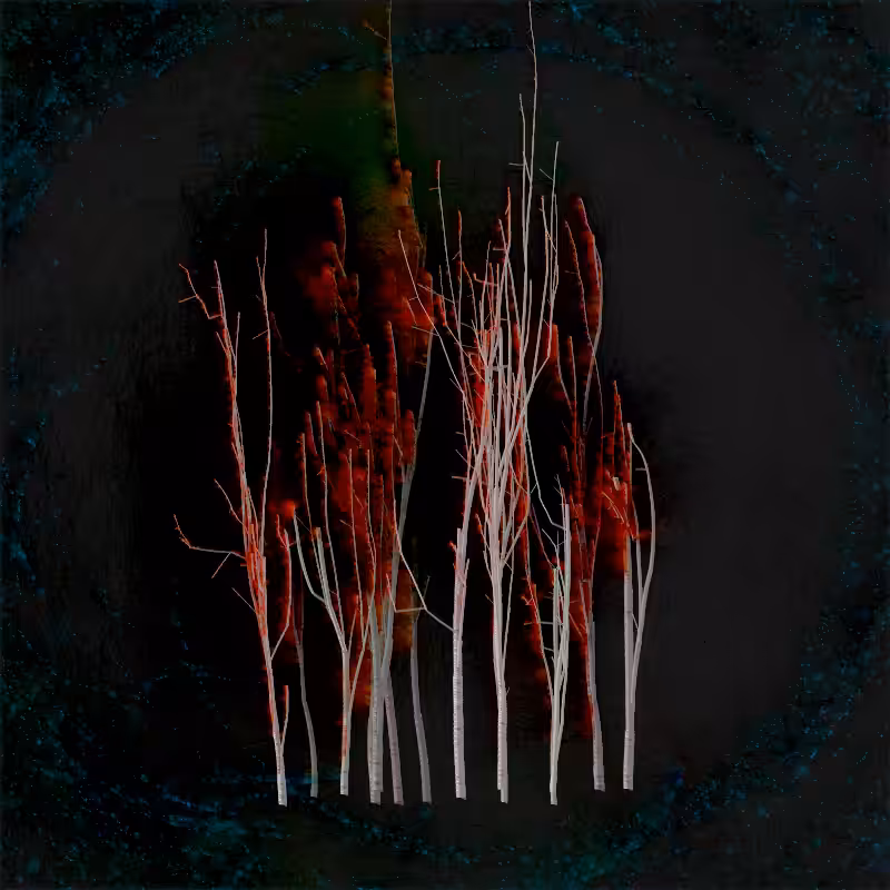 Grove #29