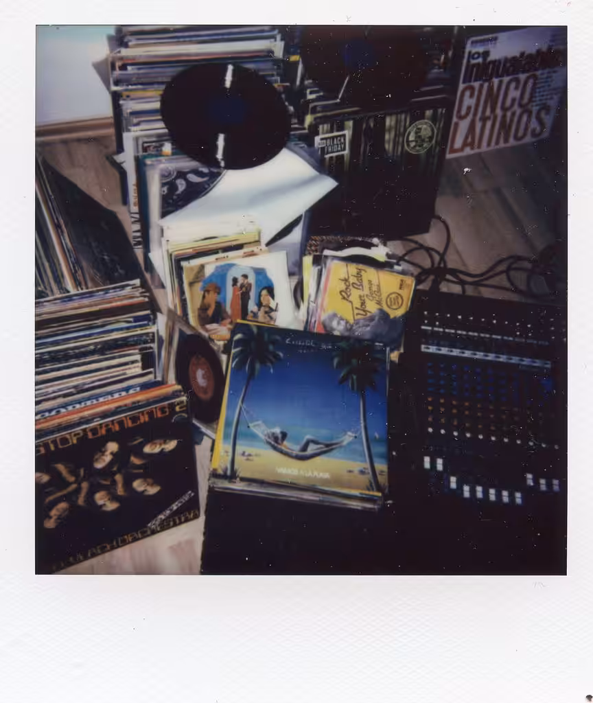 Polaroid #5 - Records Collector