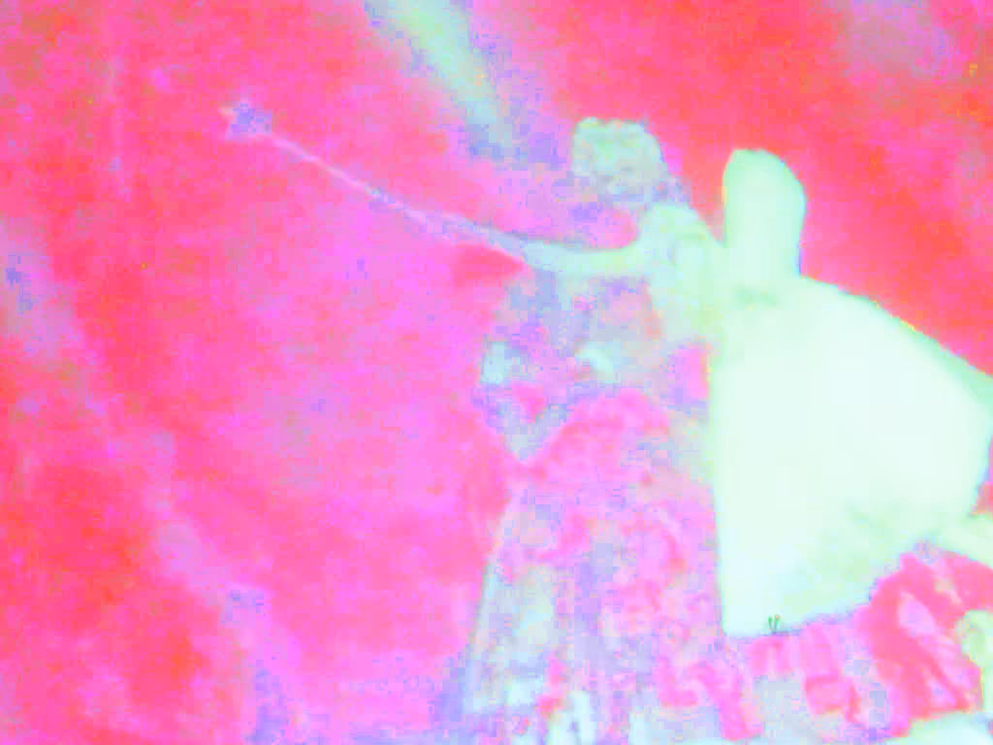i tried to disturb you with my fake light and pink here darling