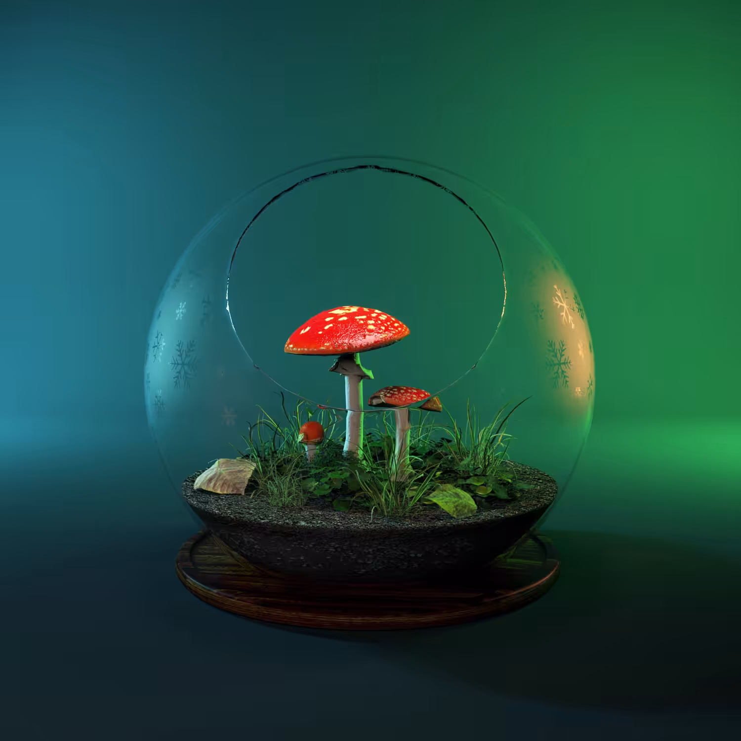 Terrarium Amanita muscaria