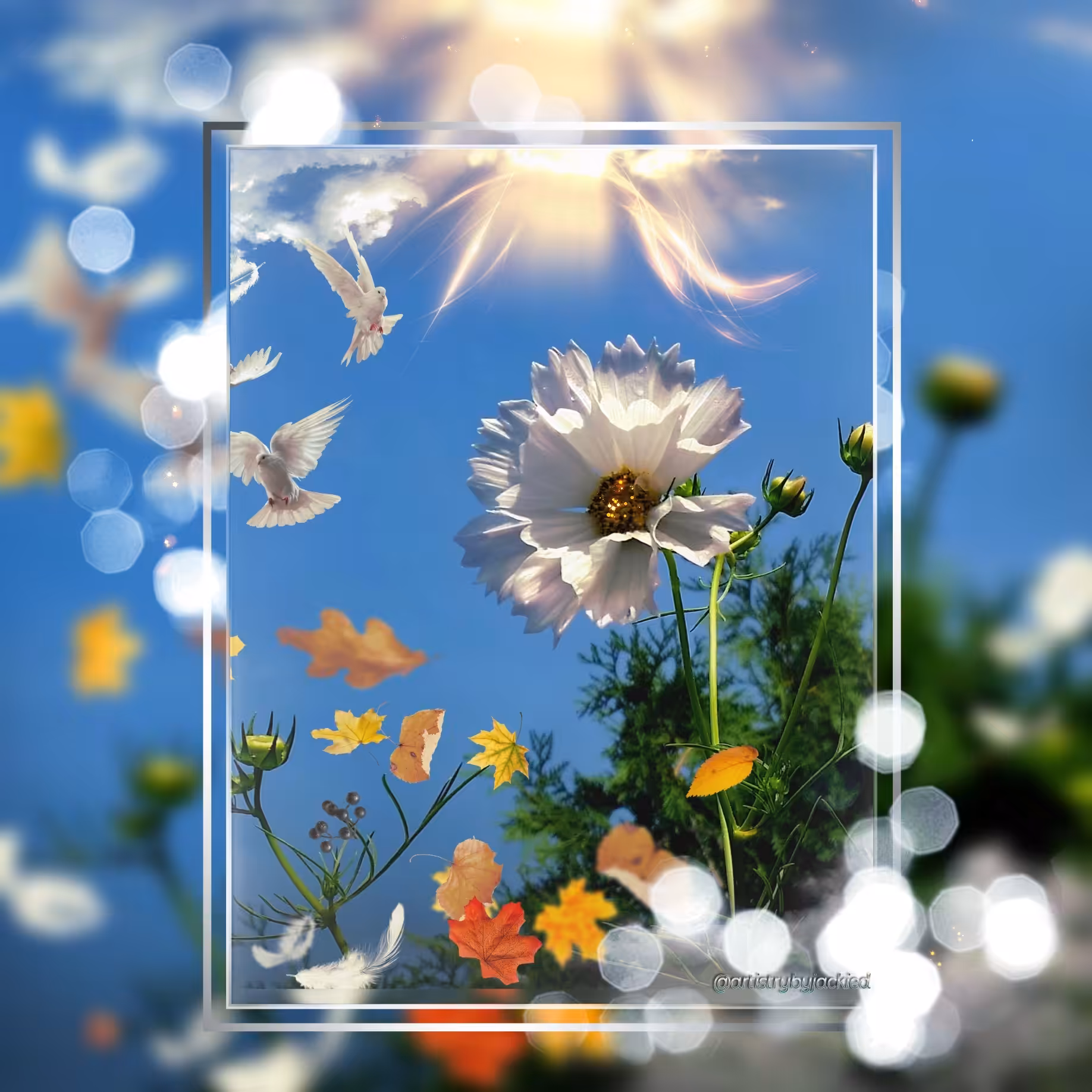 White Cosmo - Tez Flowerz #22