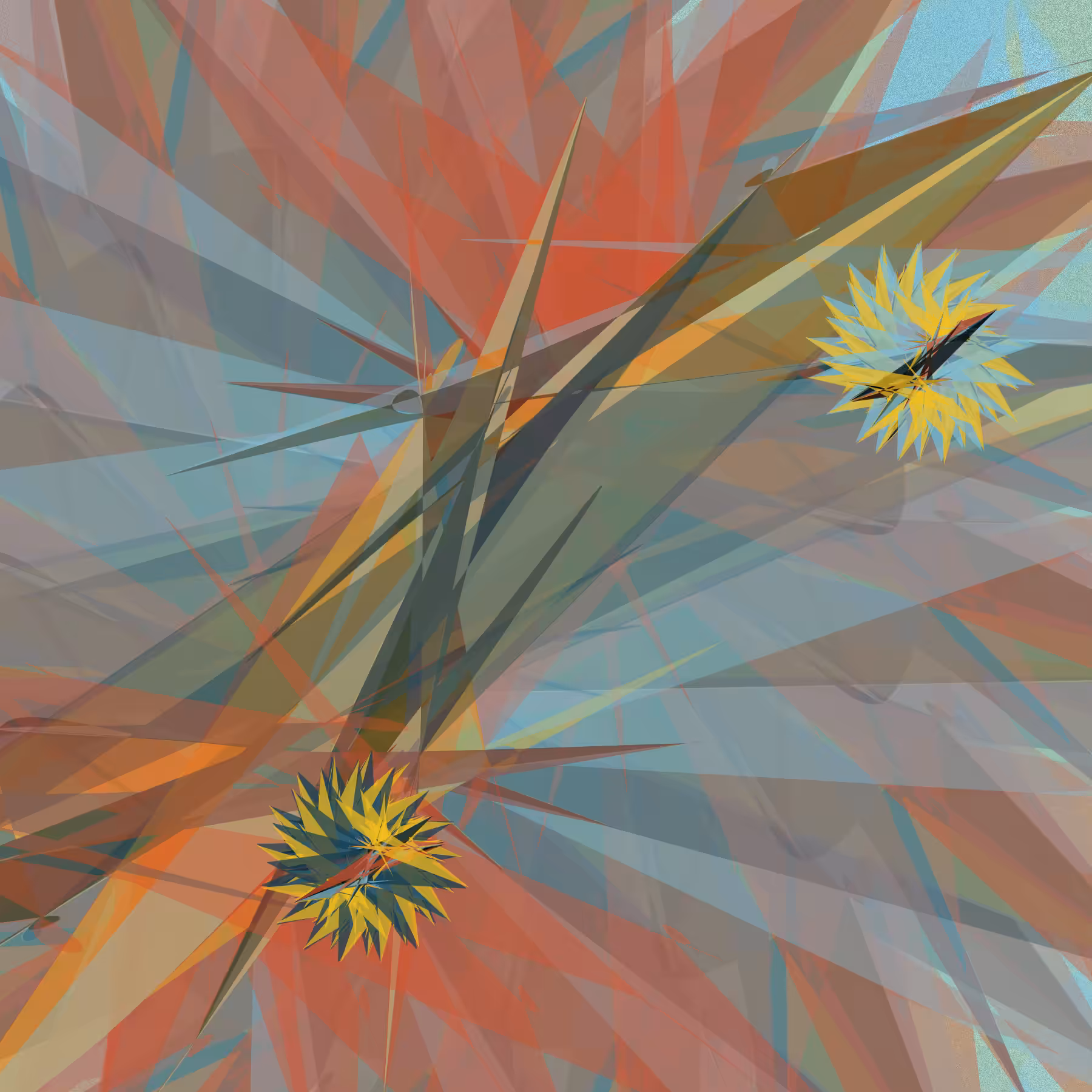 Tillandsia-A #2