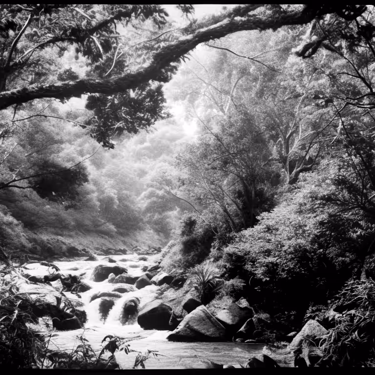 Cauca River