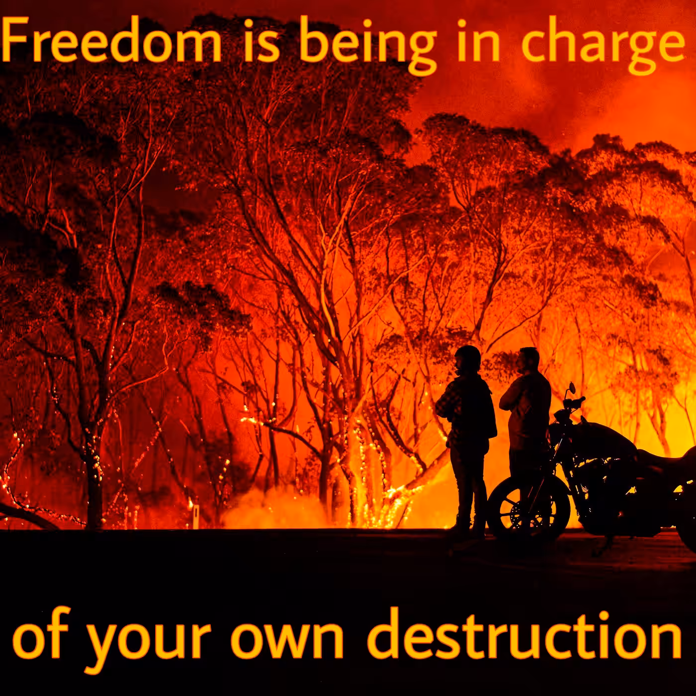 FREEDOM_I