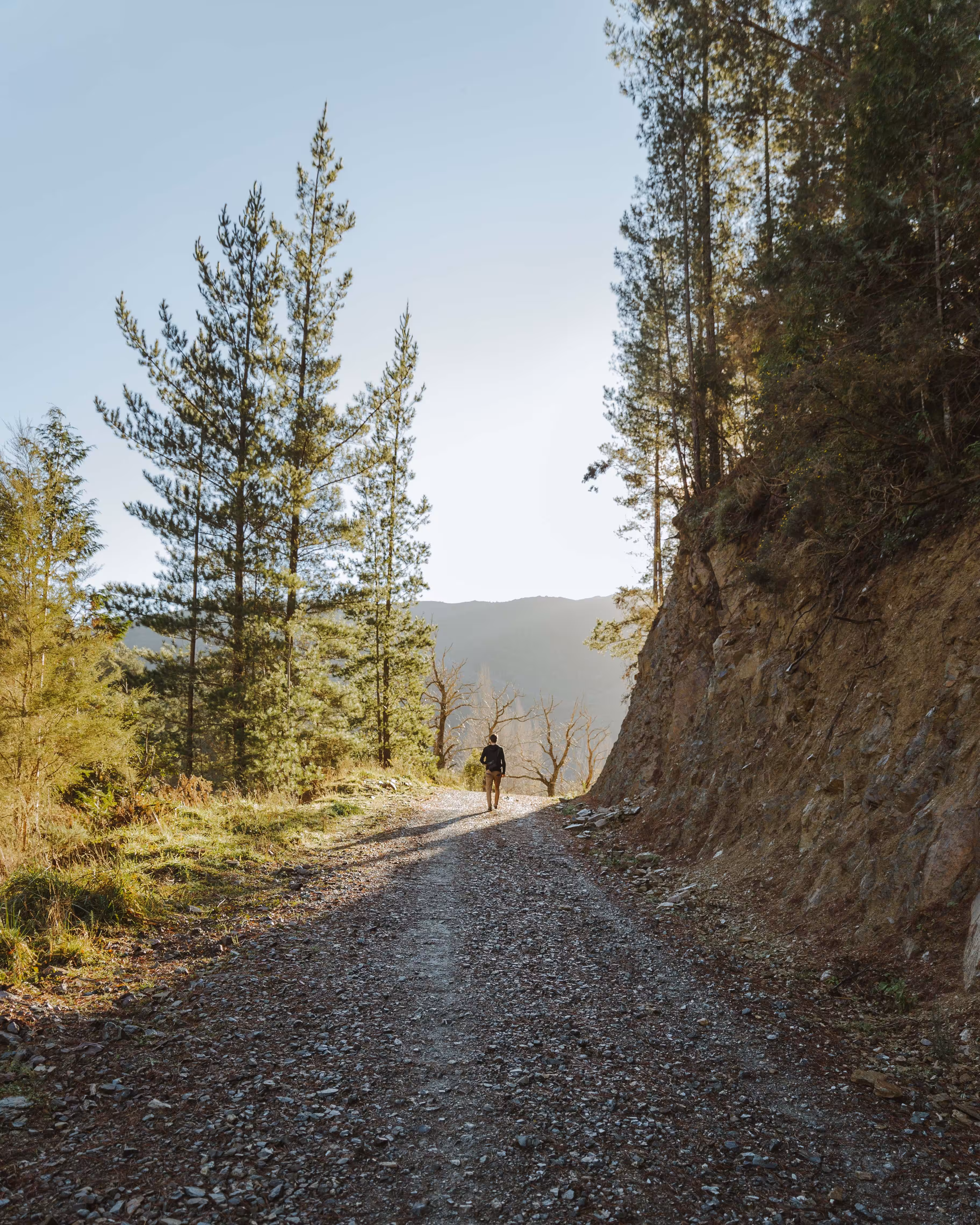 Humans in Solitude #3