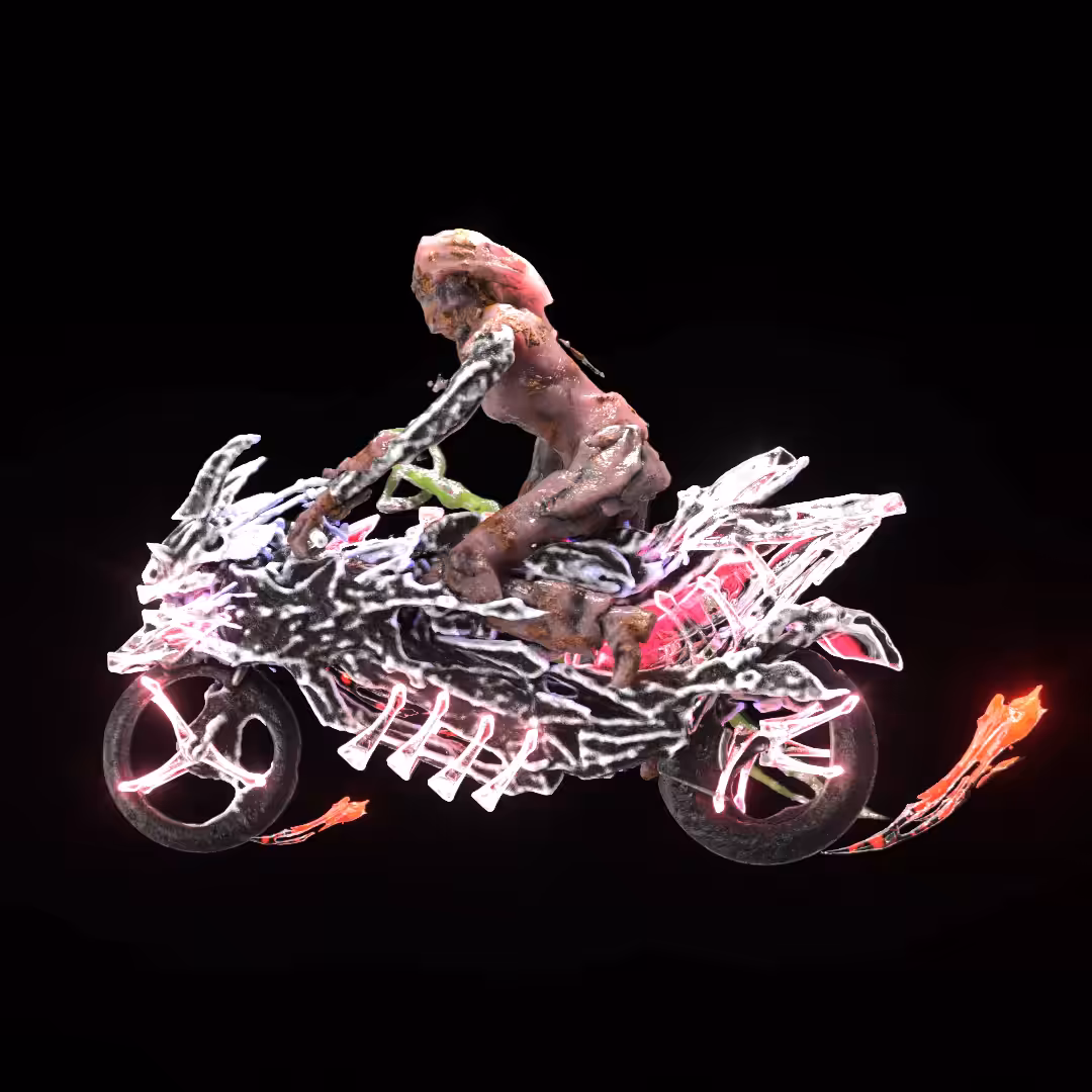 Flesh Bikes #004