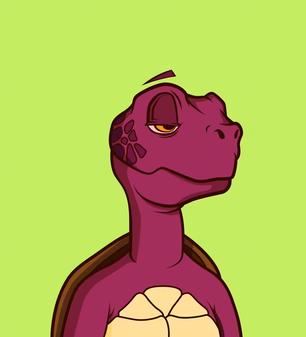 Tiny Turtle's: Tiny Turtle 232