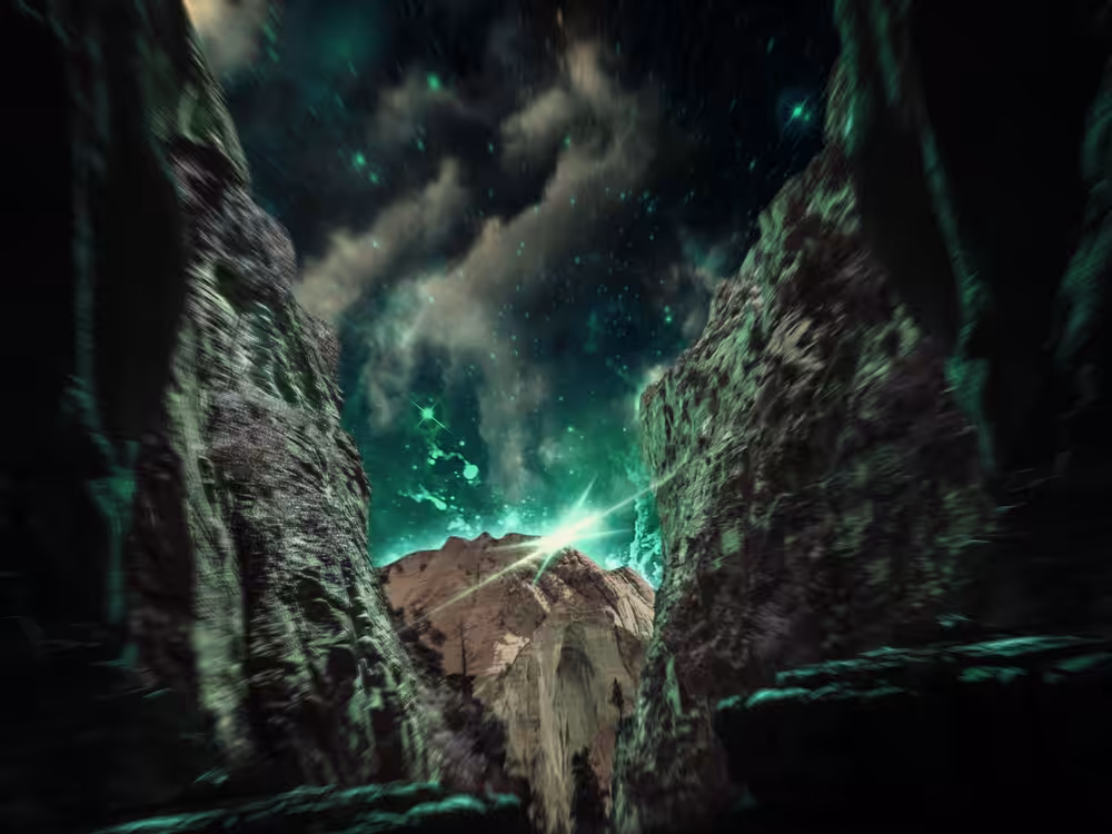 3007