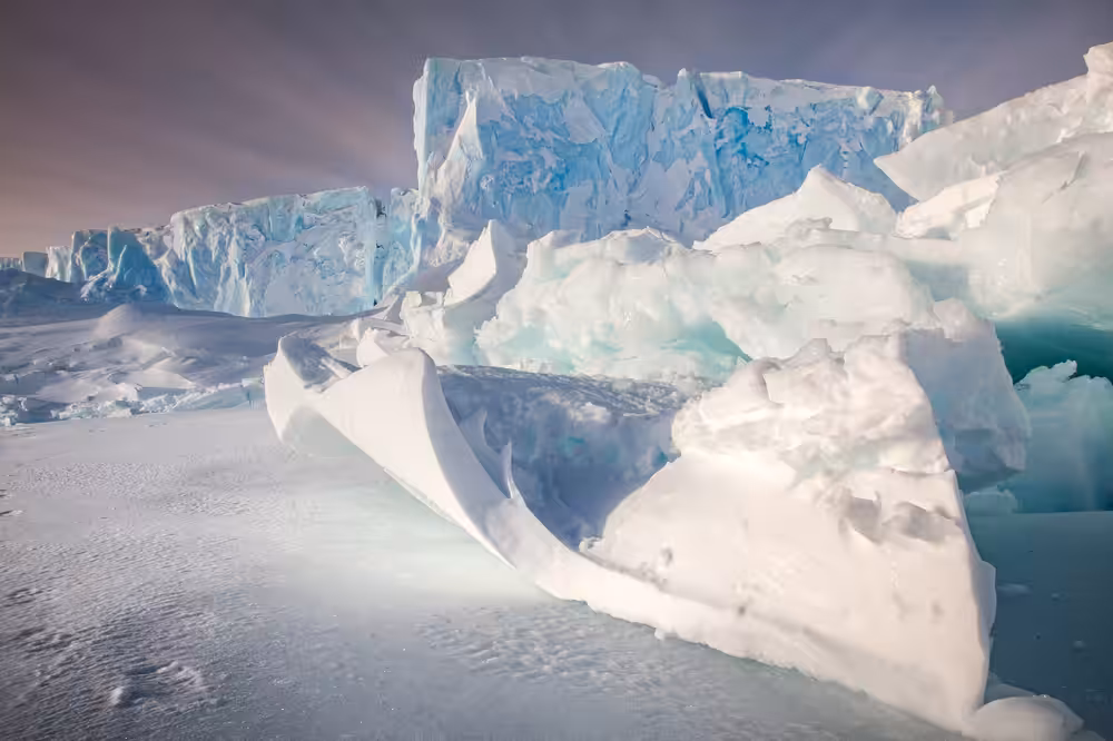 Snow Fold, Rauers Glacier #1