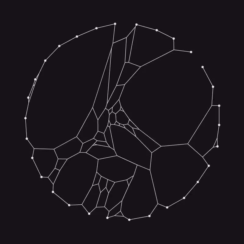 Elastic Web #218