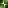 Rays of pixels #1