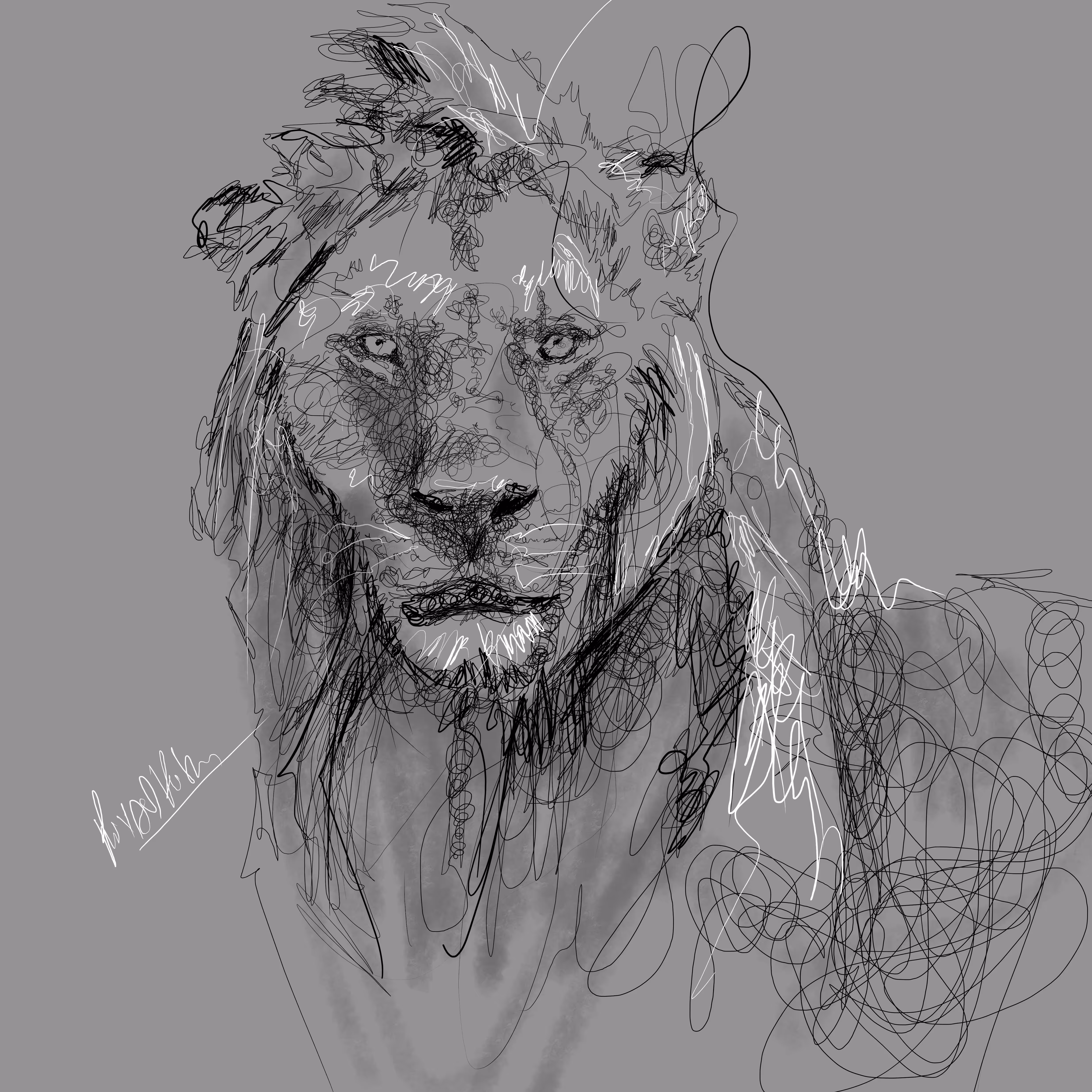 Lion Scribble (collab with rami dibo)