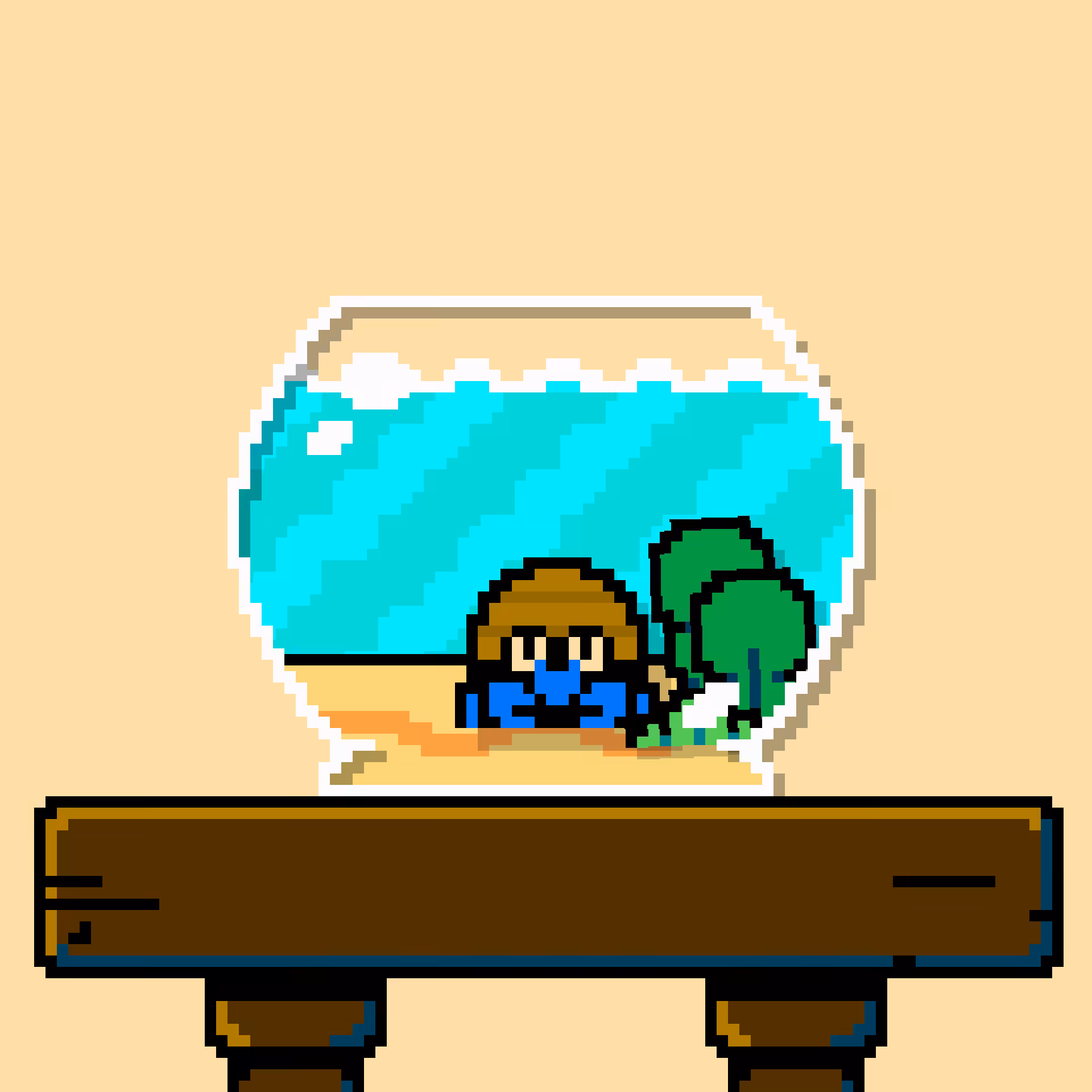 hermit crab #172