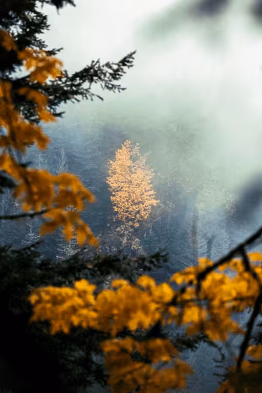 Moments on Film #83