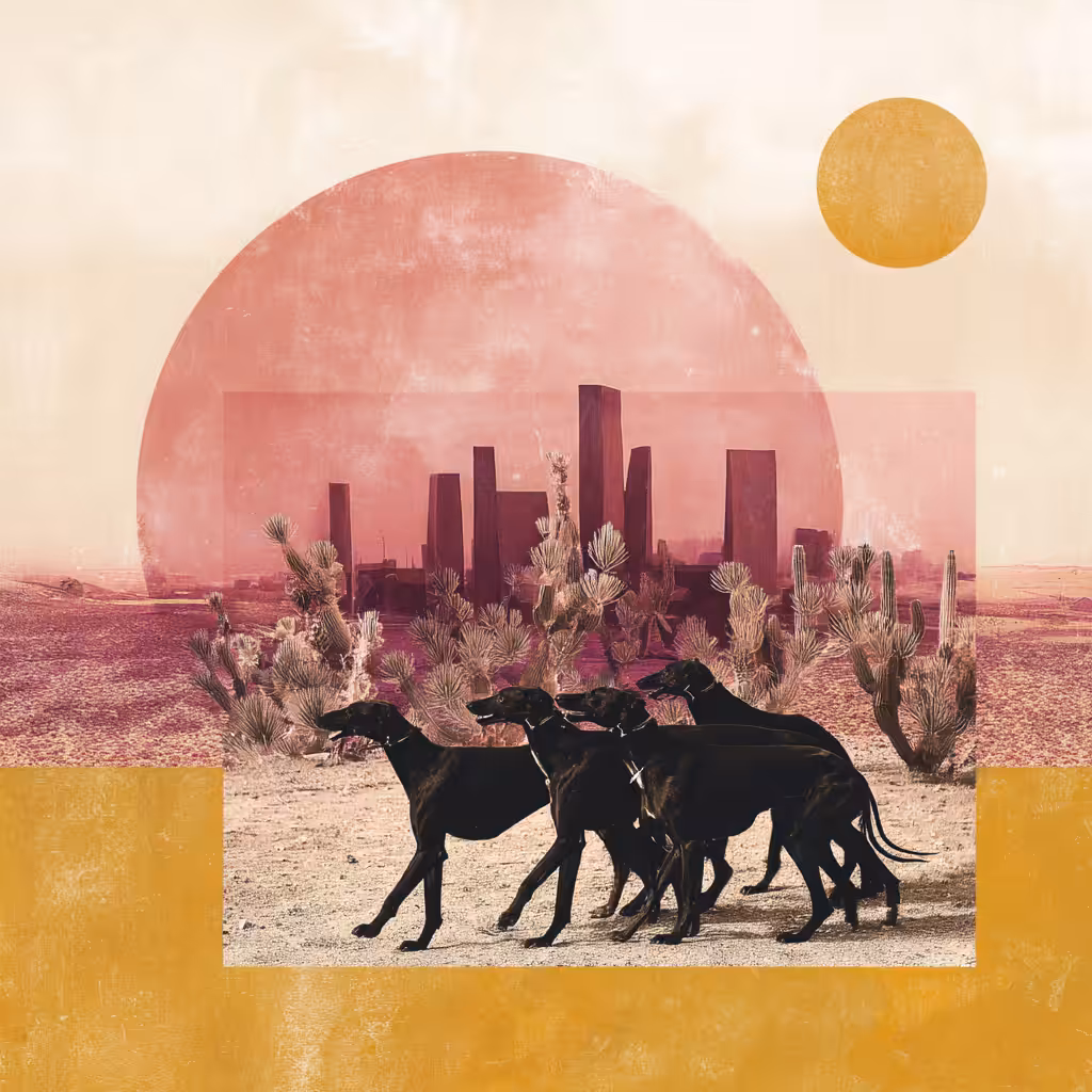 Desert Mirage Hounds