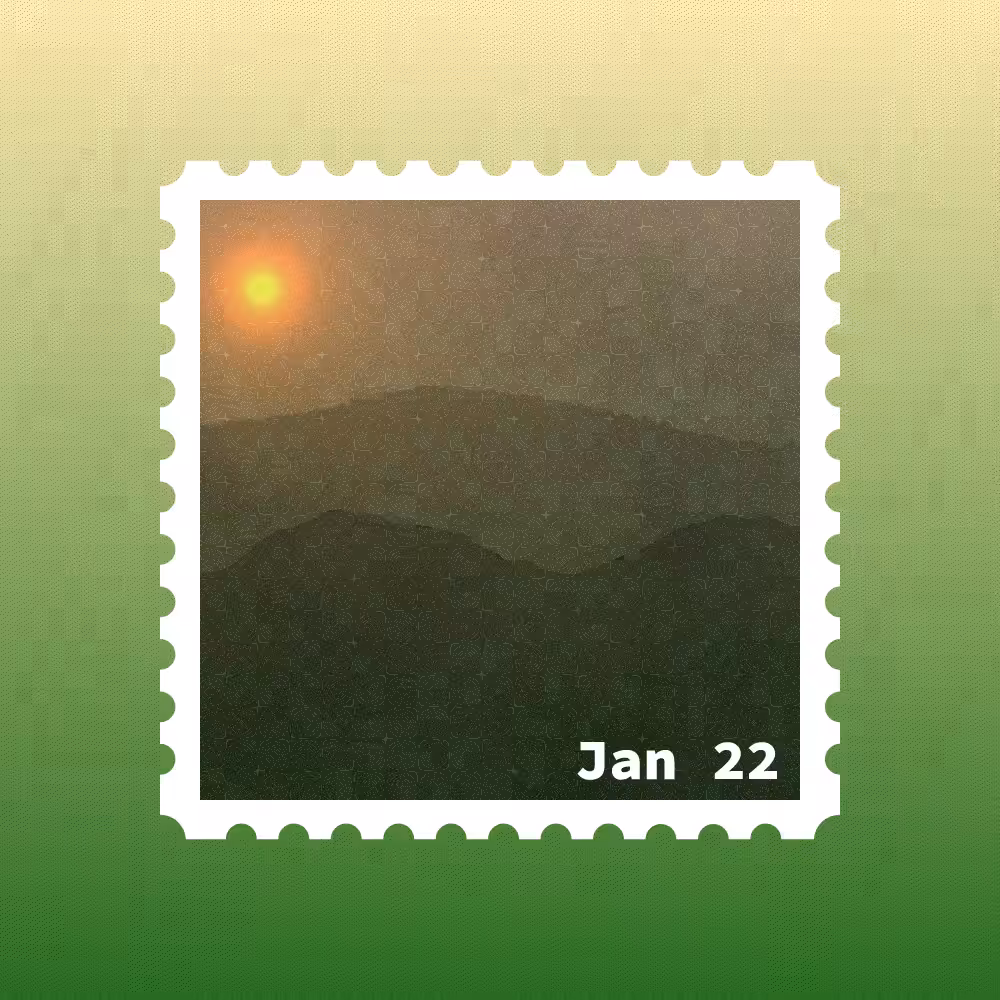 January 2022 stamp #6