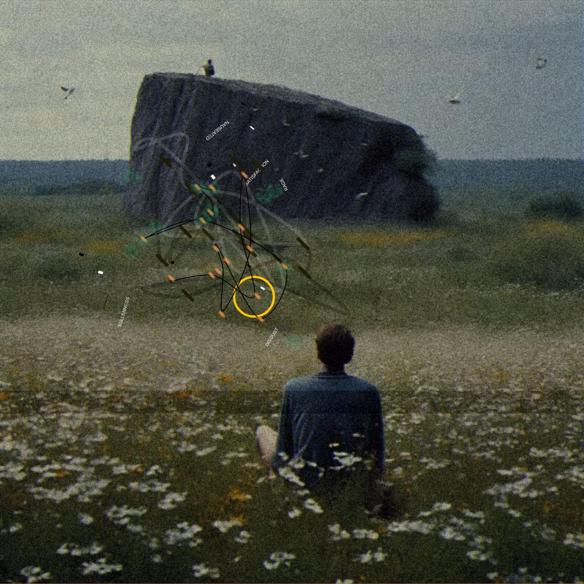 #66