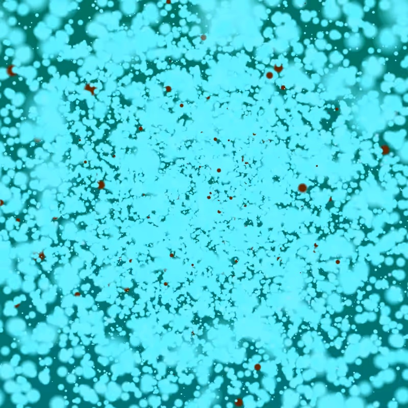 Coalesce #104