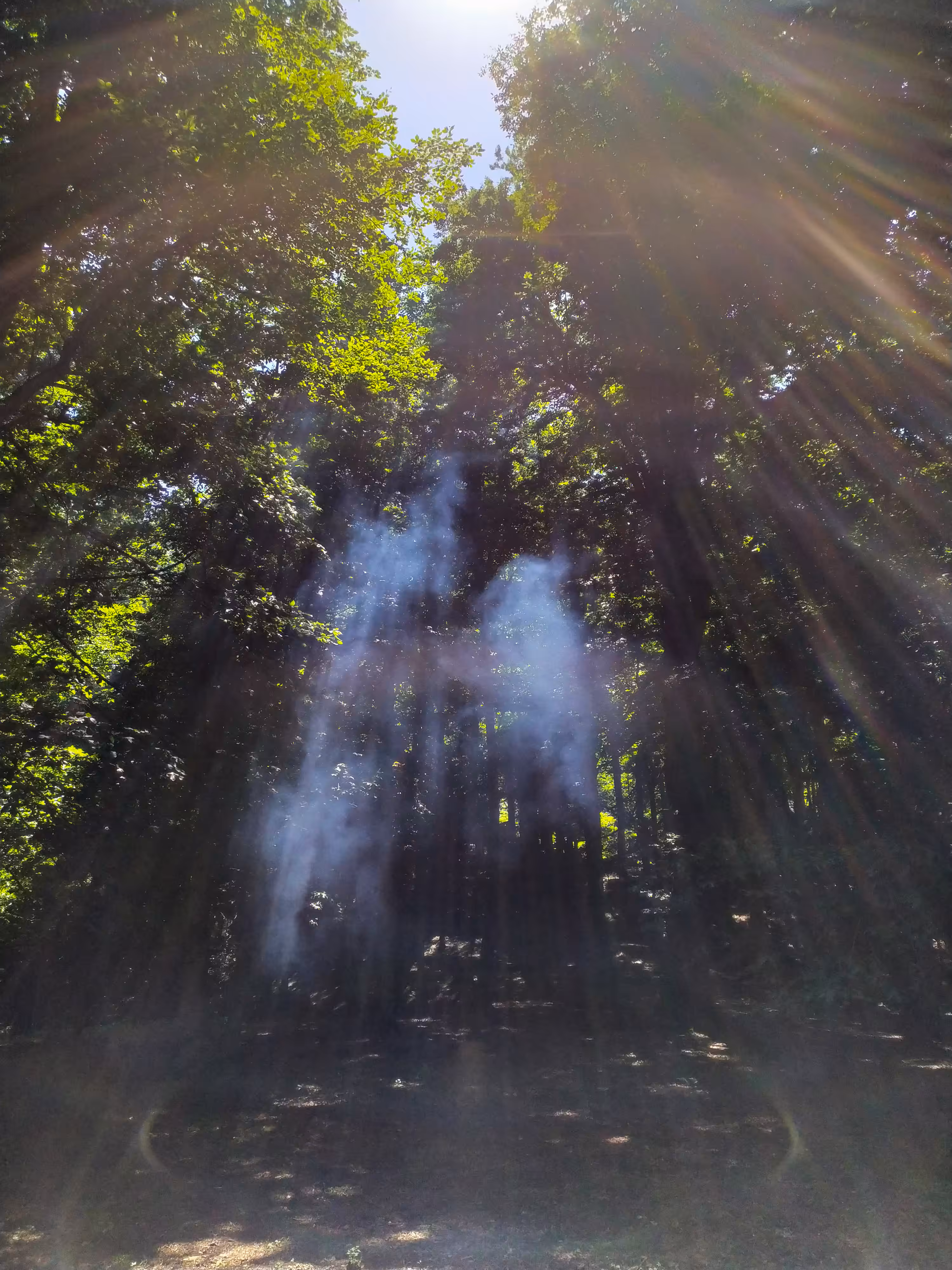Holy Moly!! (Lines of Light)