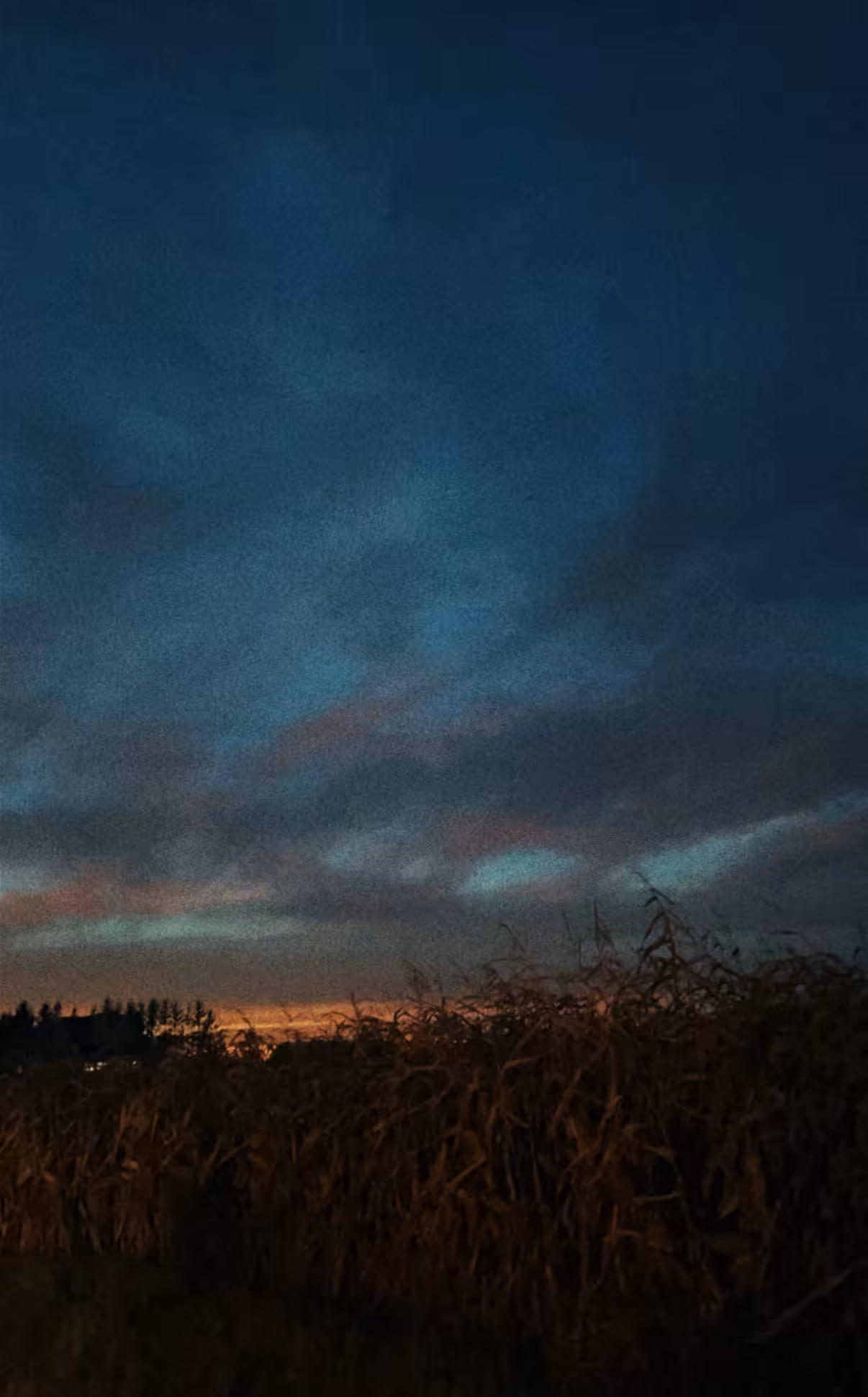 chasing a feeling