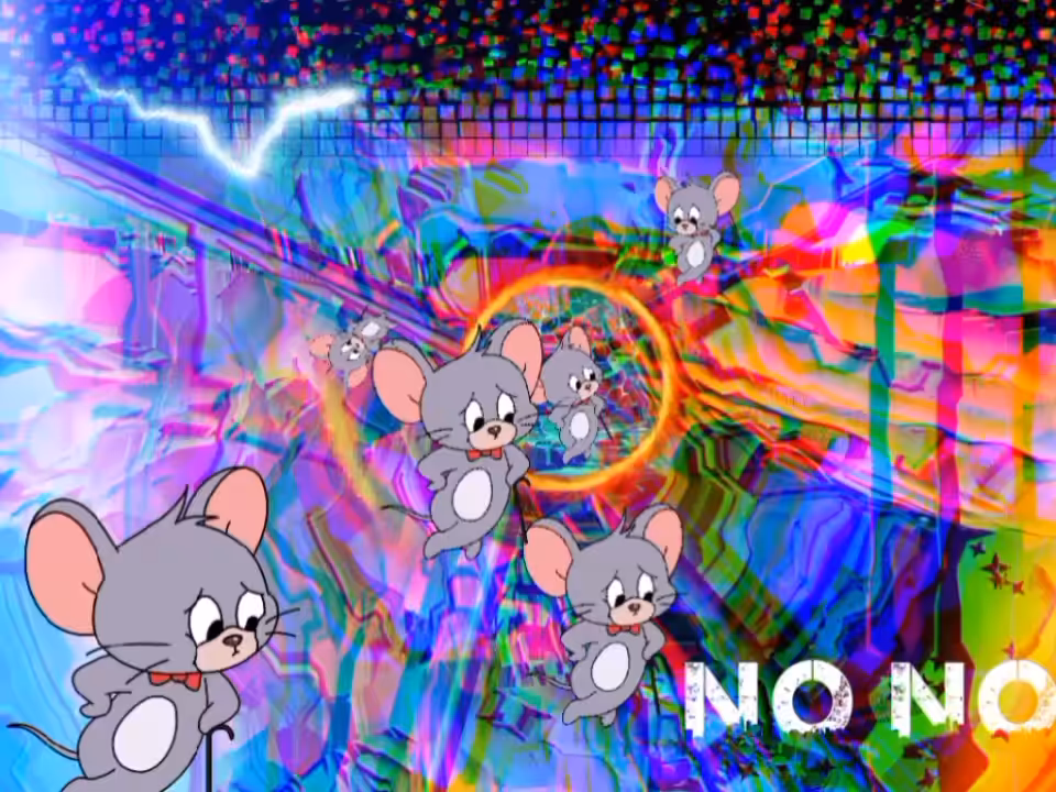 no no