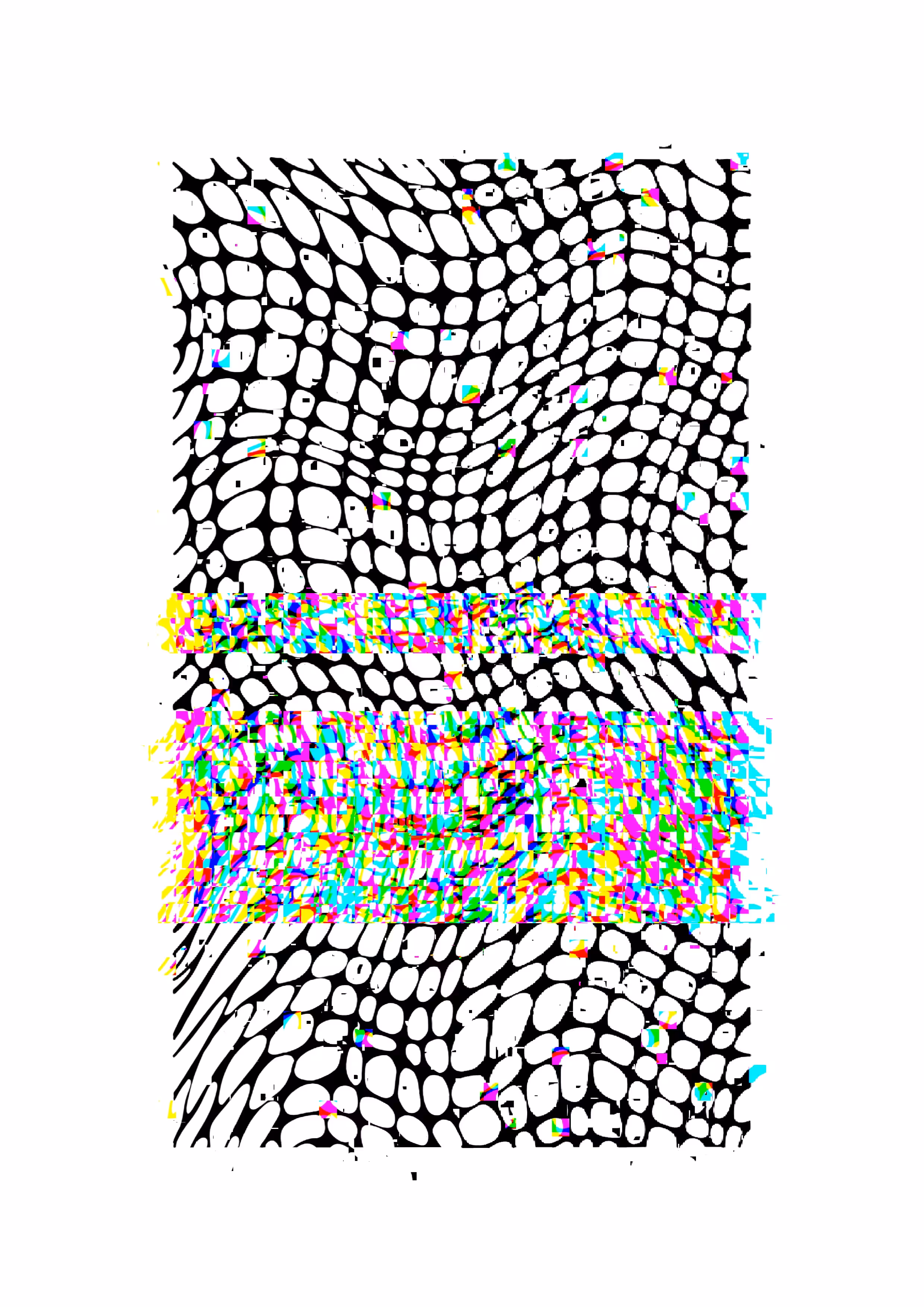 Net