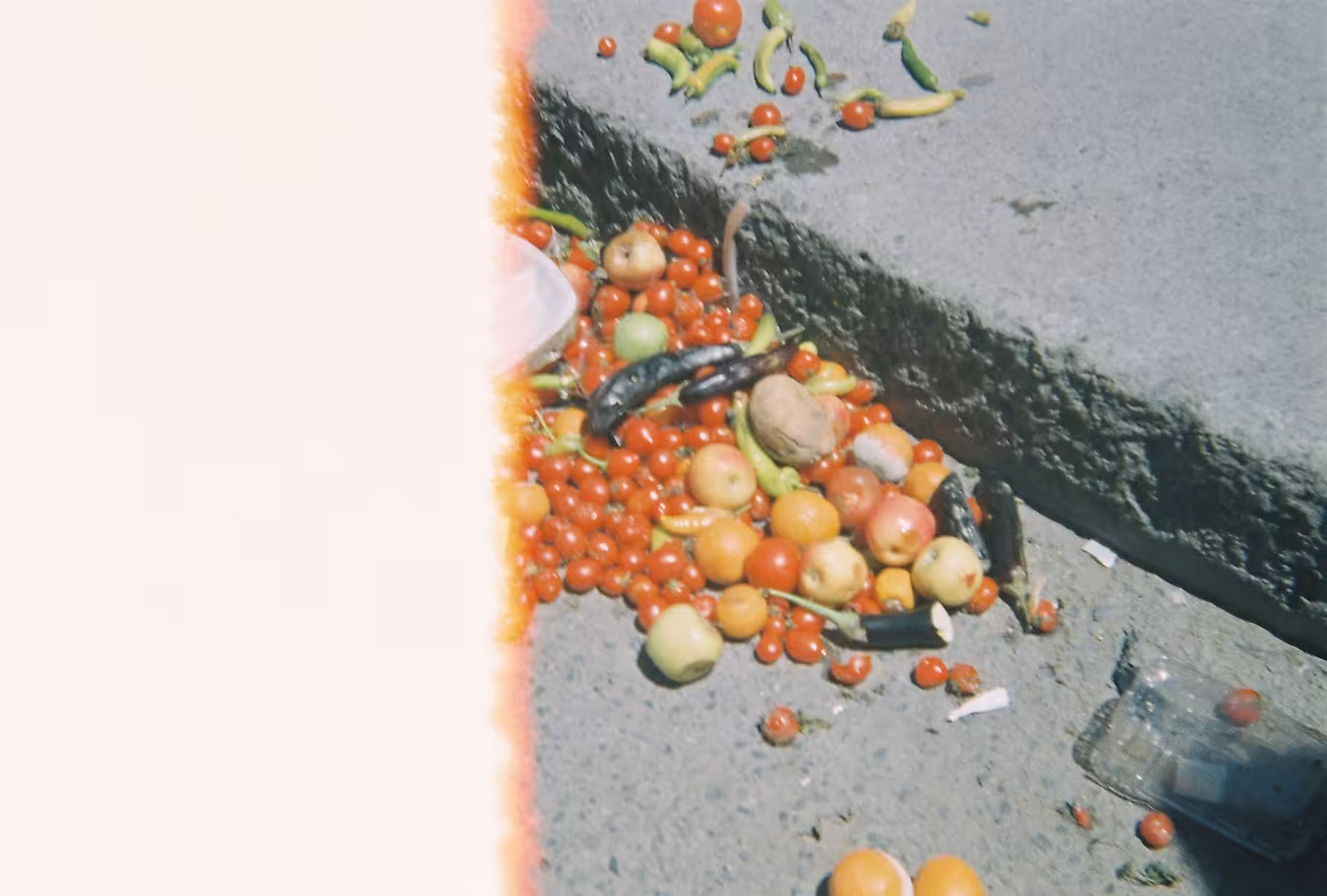 abandoned vegetables