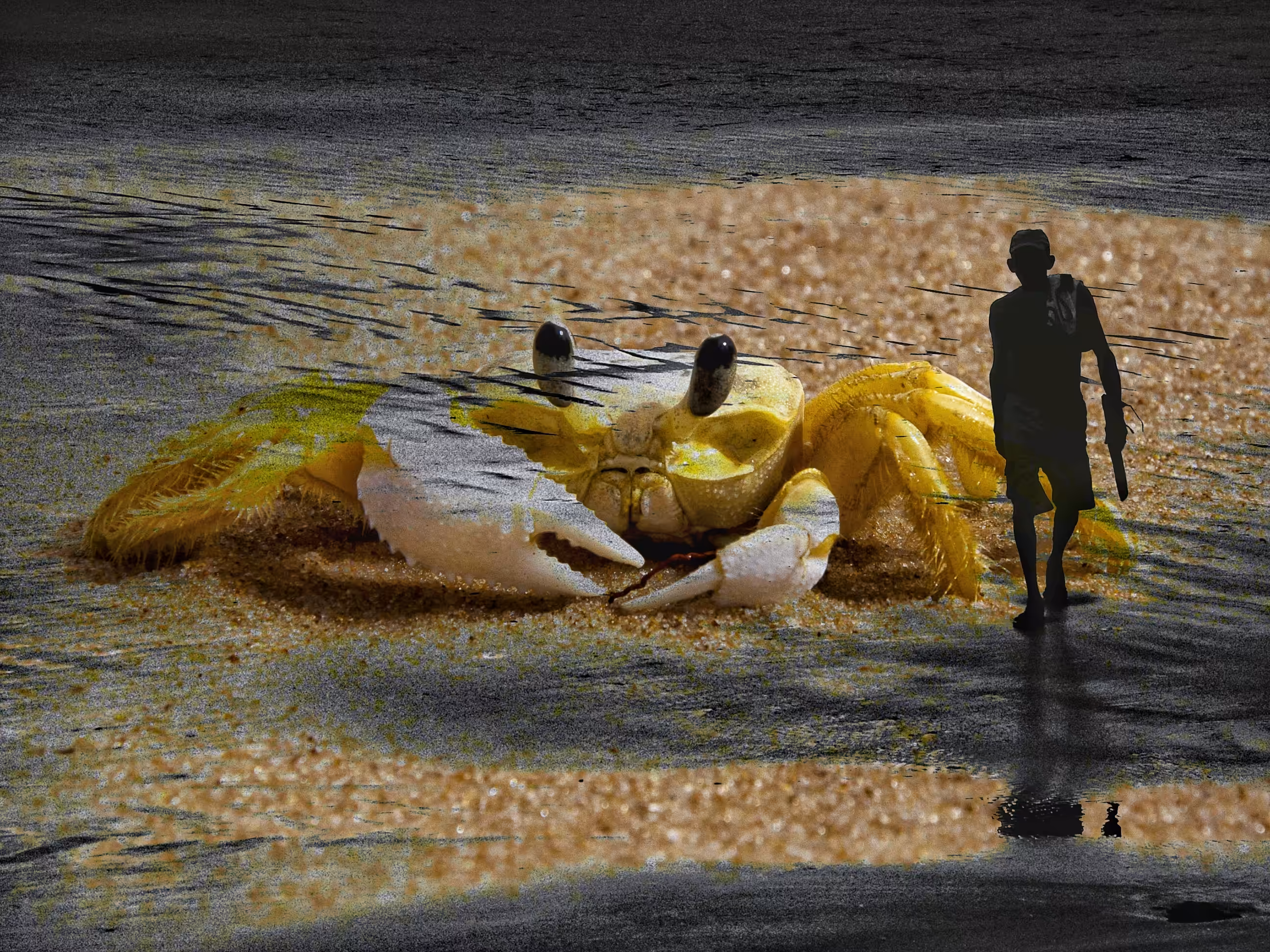 Crab and Man: Reflections of Uncontained Chaos