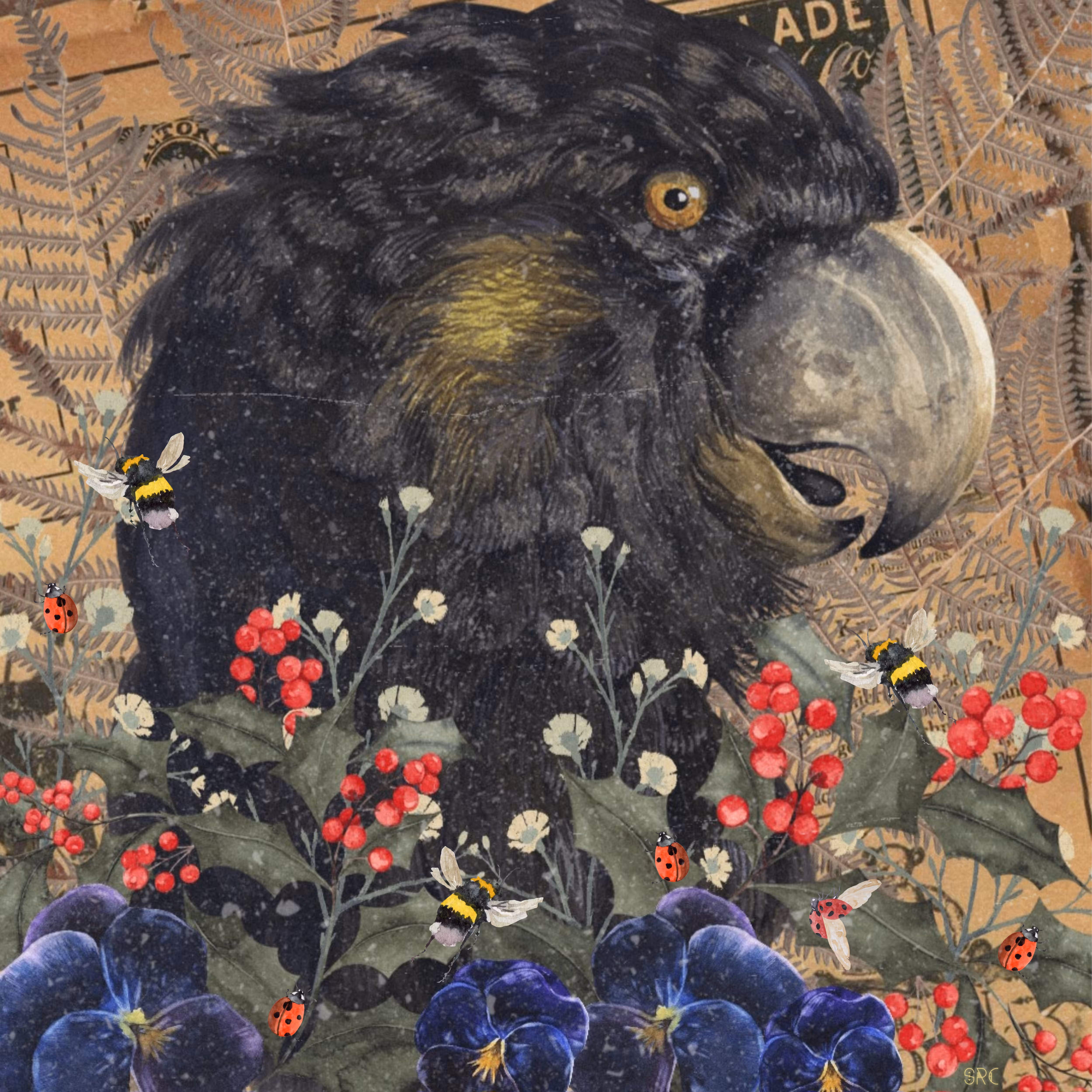 Banksian Floral