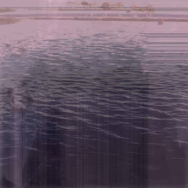 Metamorphose Three #6