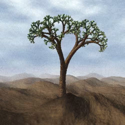 Lonely Tree #74