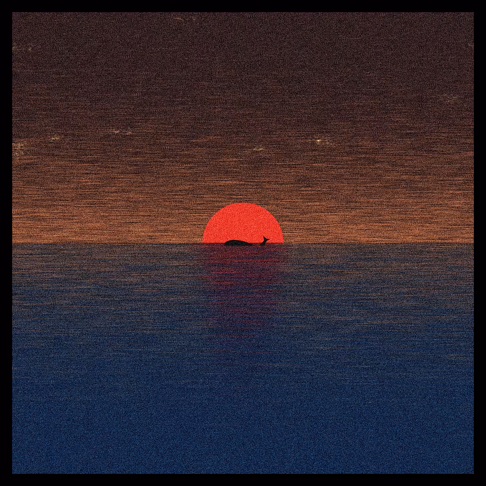 sunrise sunset #11