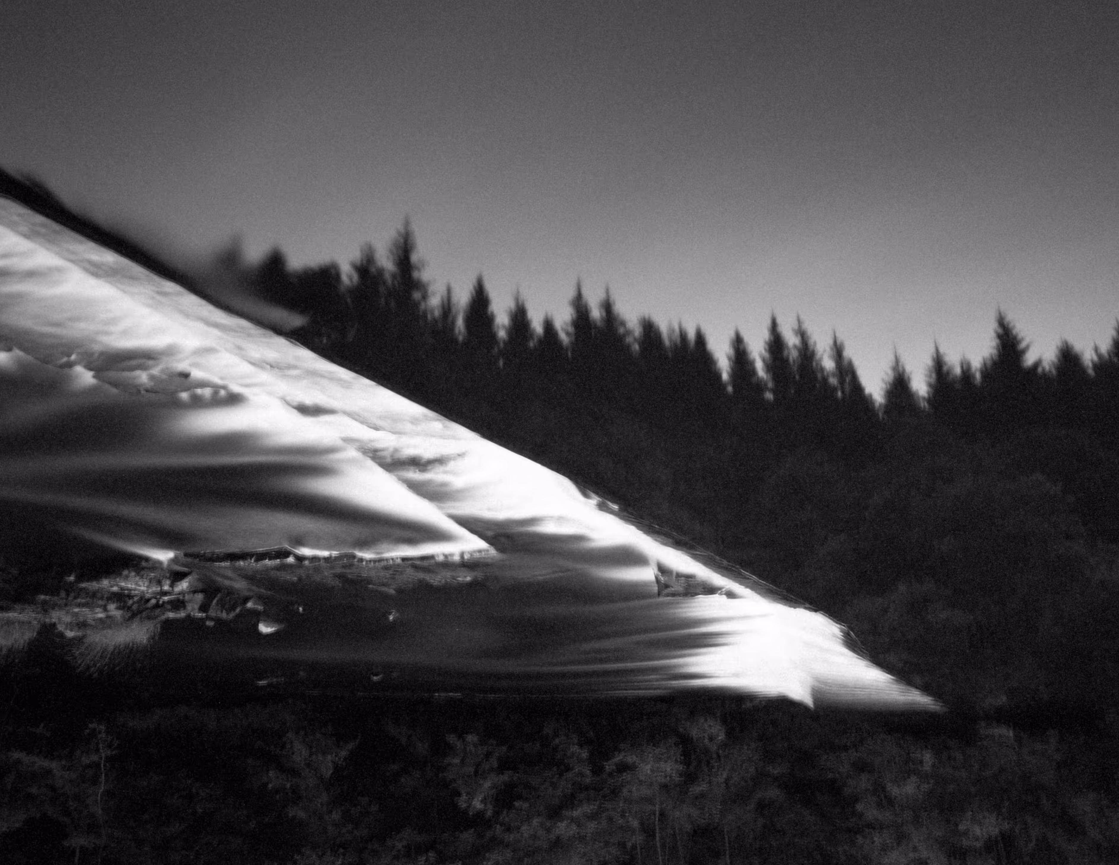 Black Forest