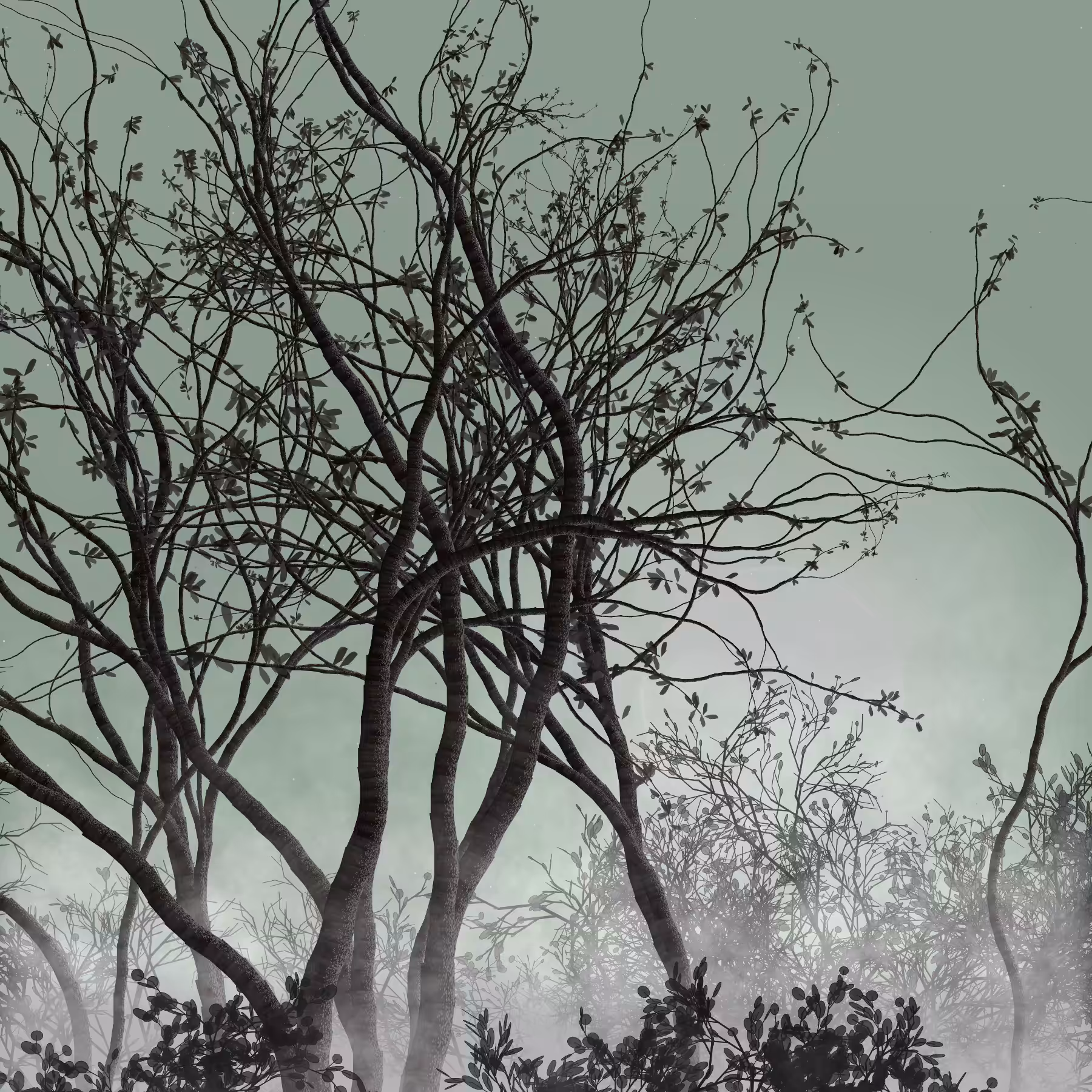 Morning Mist #201