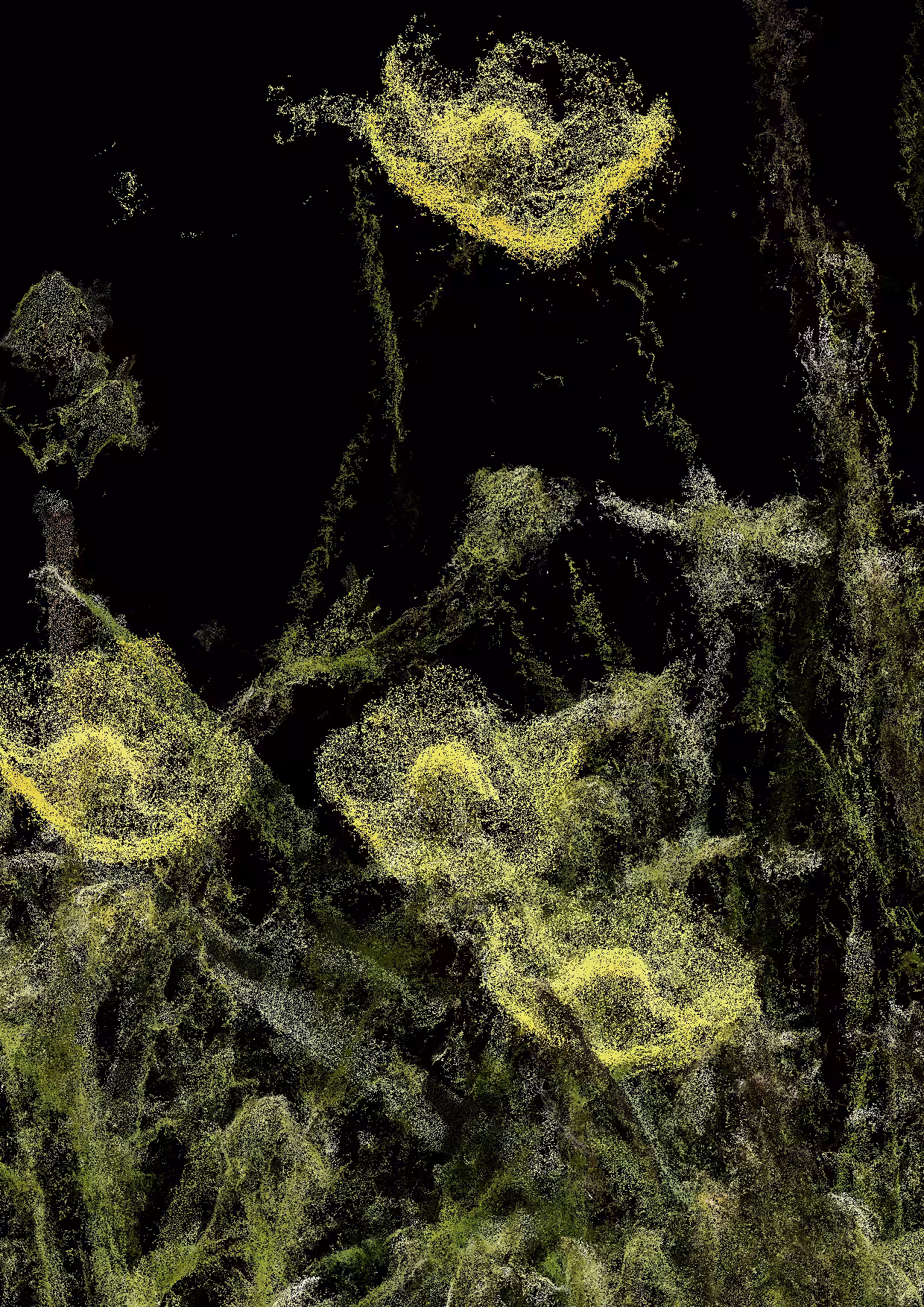 Overgrowth 0117