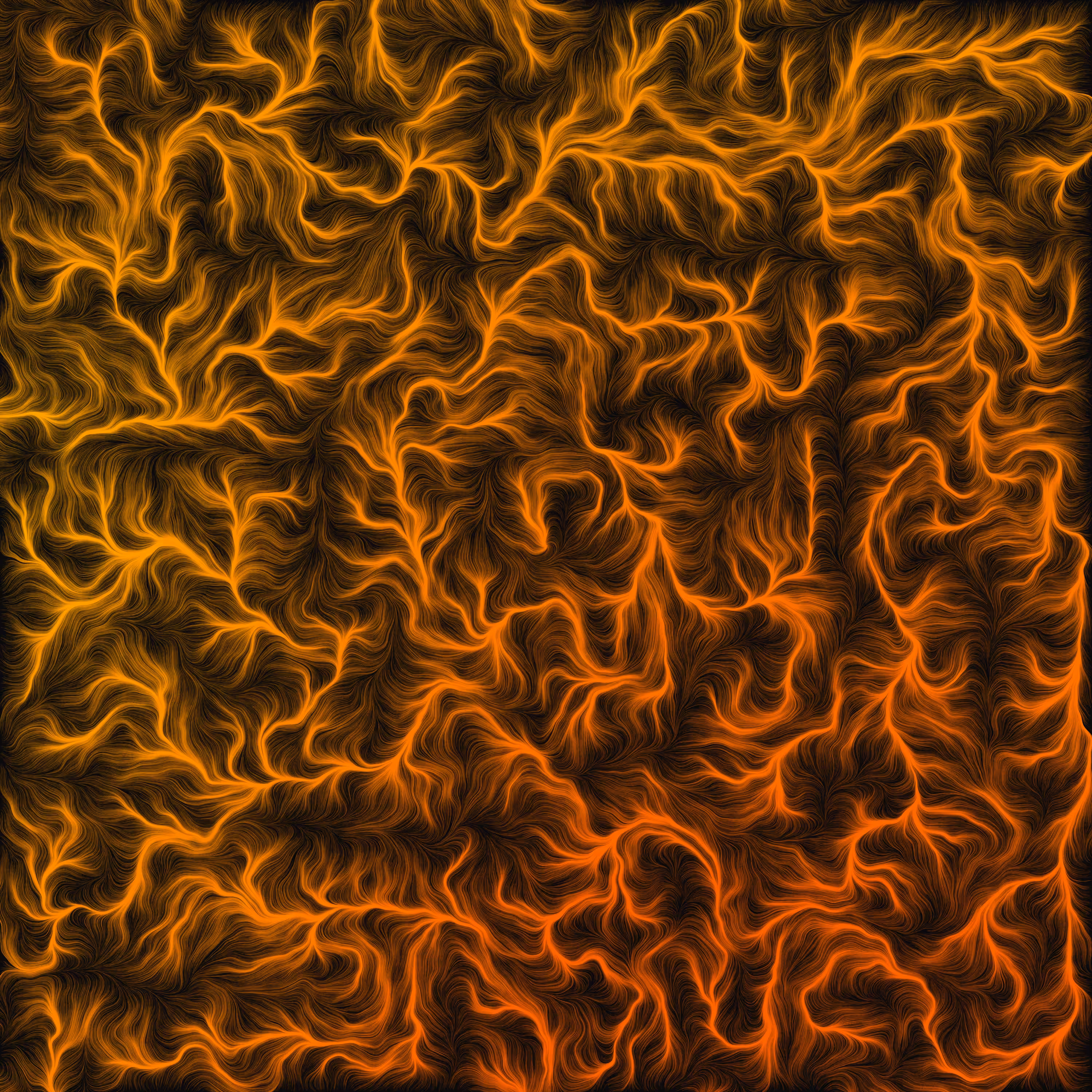 ORANGE BRANCHES
