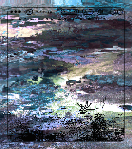 STILL WET: Liquid Silhouette: On the Ground