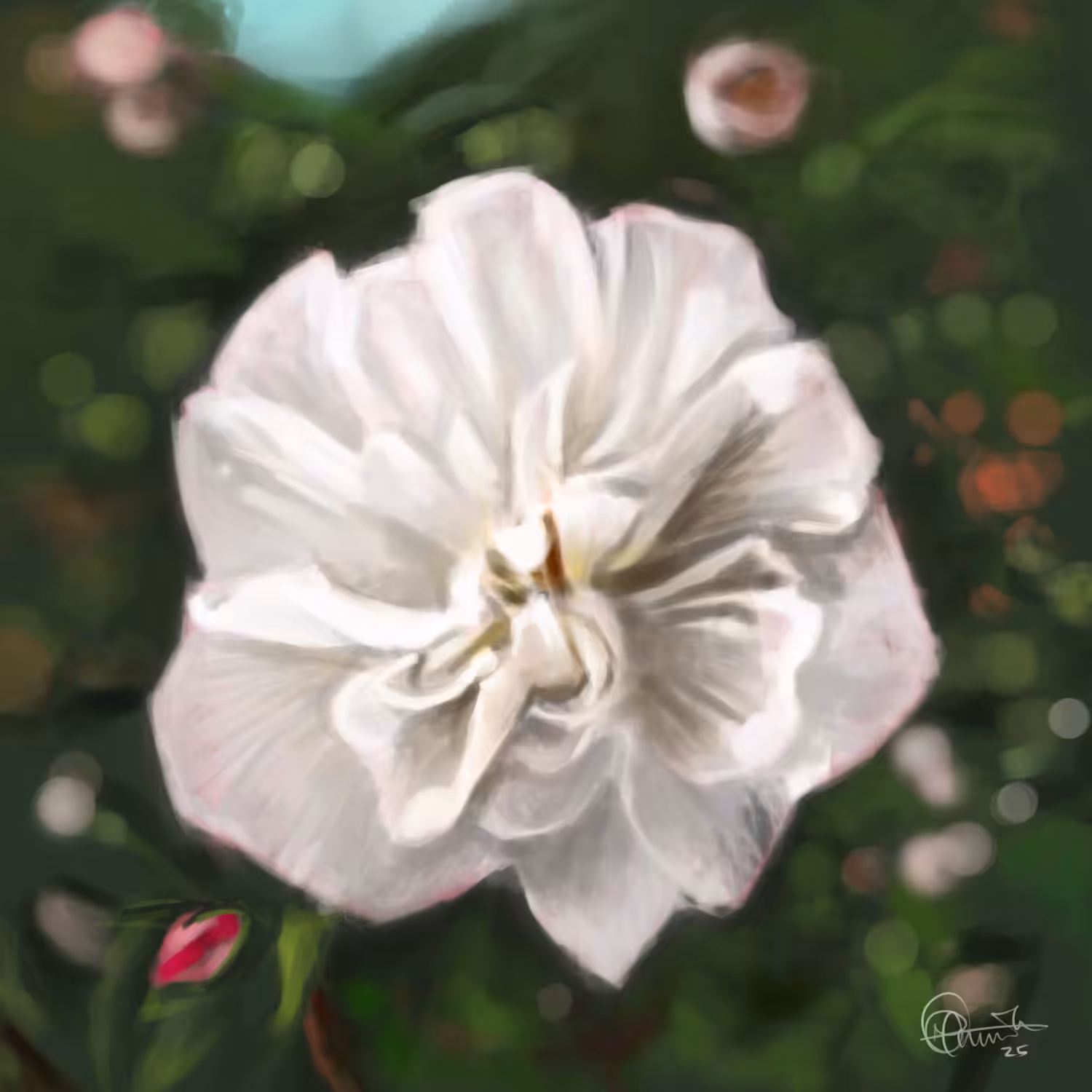 CONFEDERATE ROSE