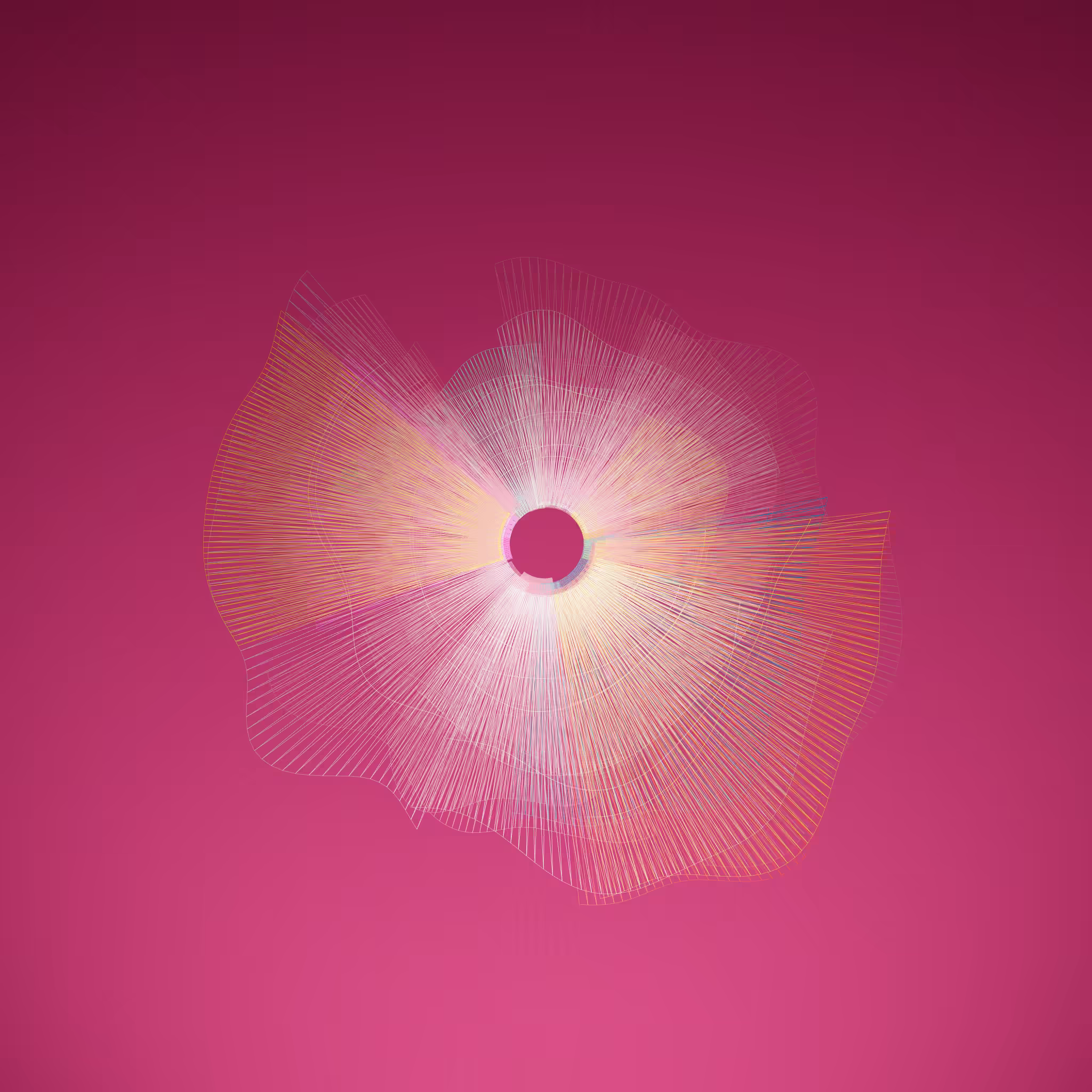Supernova poppy #52