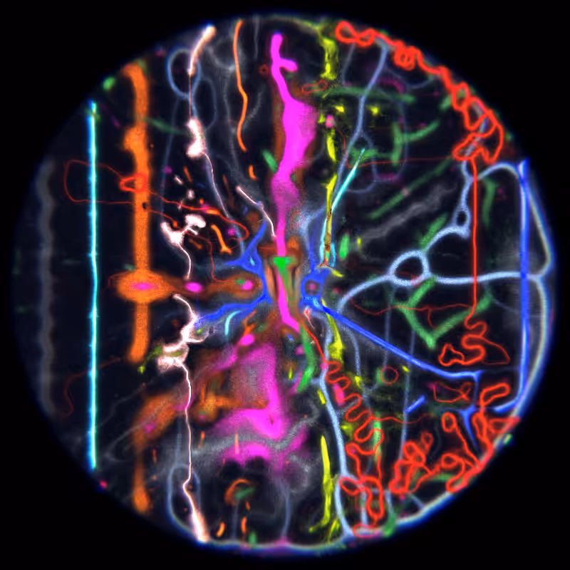 Ethereal Microcosm #275