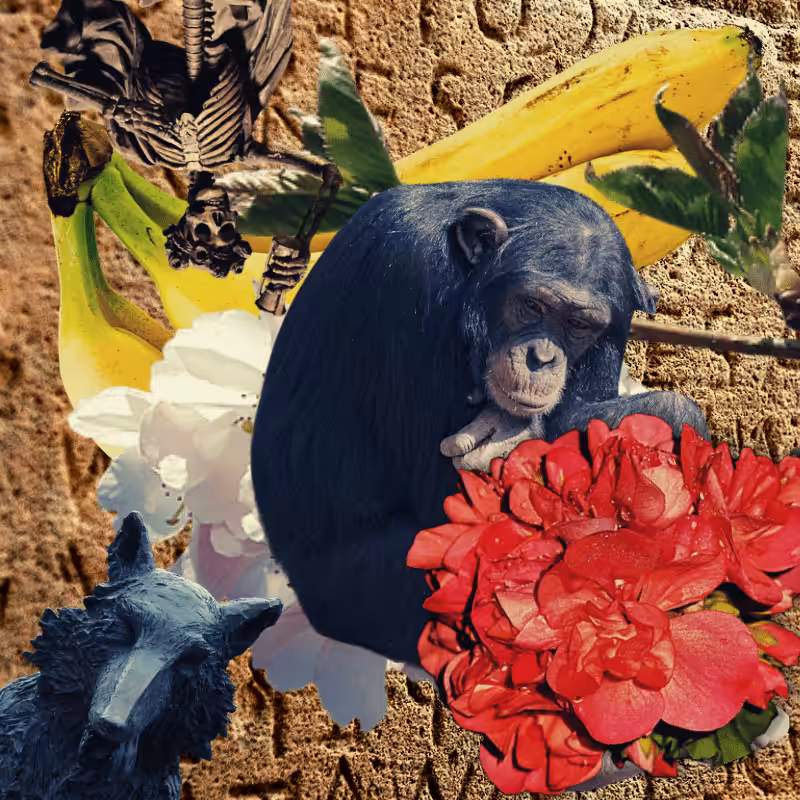 Banana flower #26