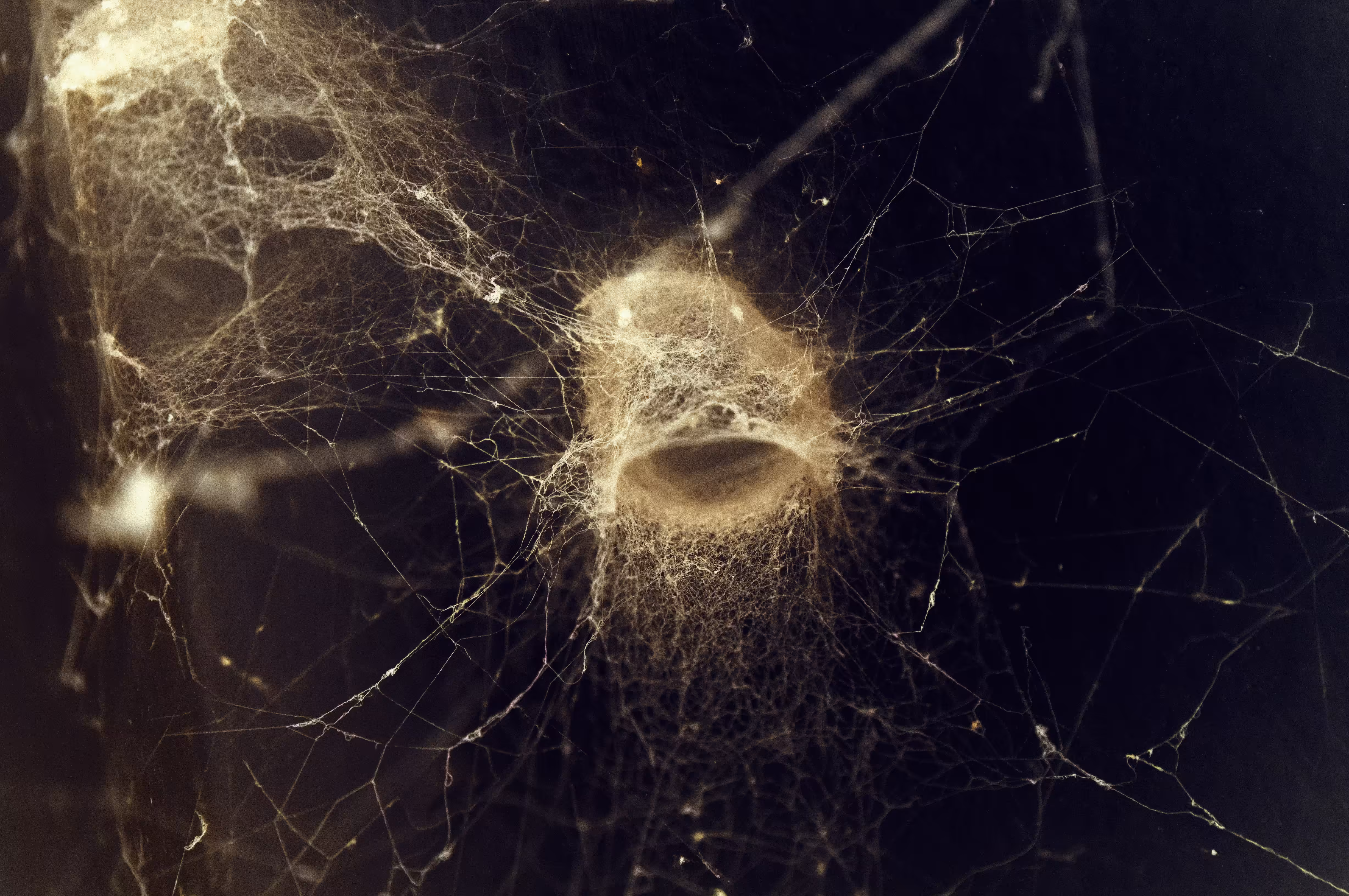 web