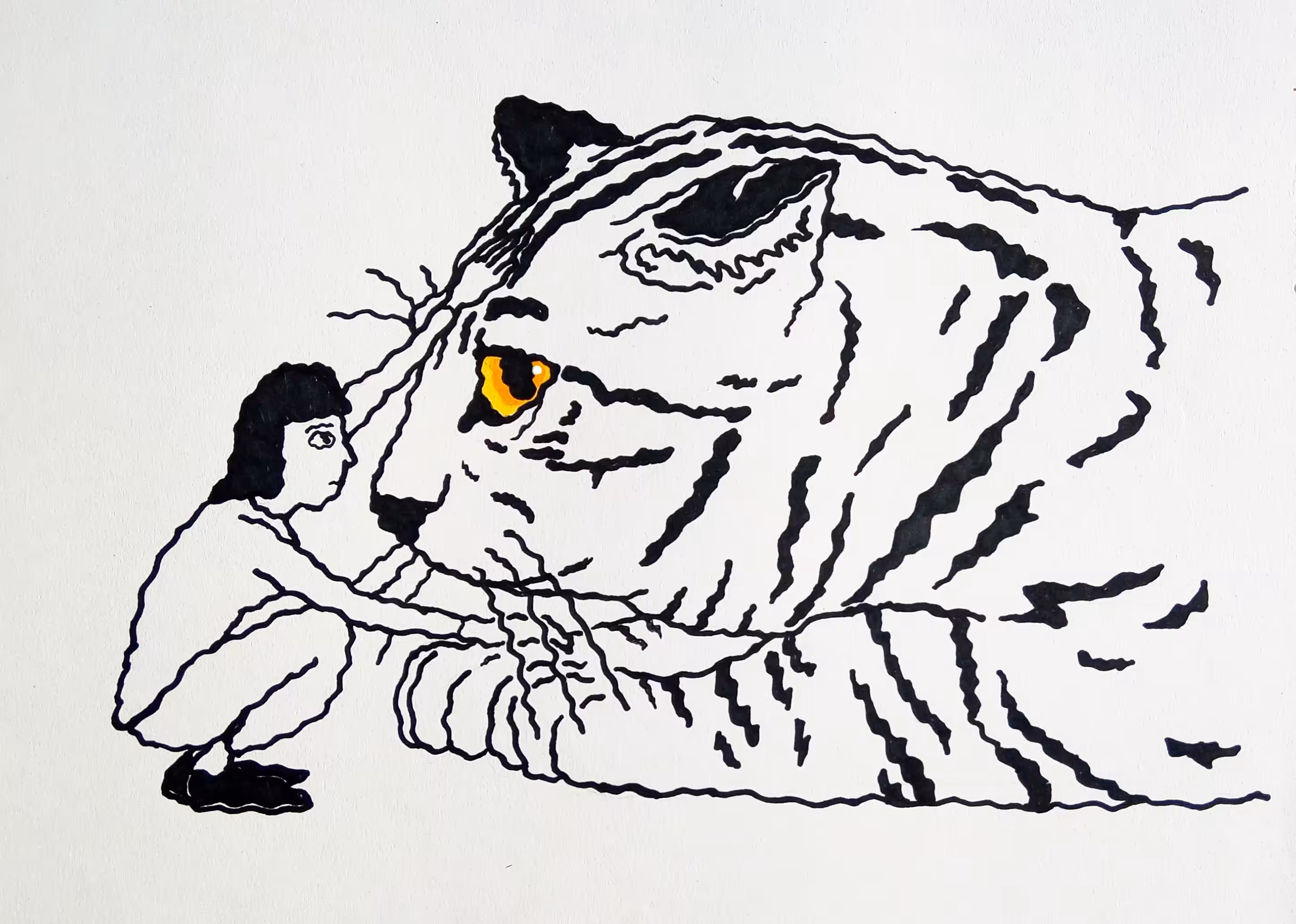 ANTONIO THE GIANT CAT