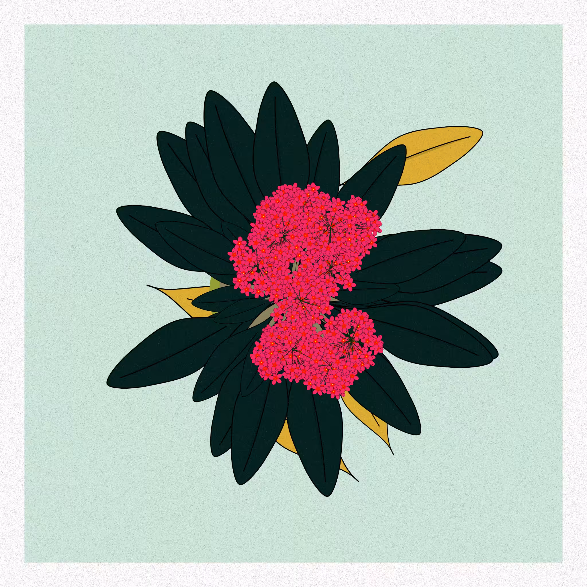 Flowers #194
