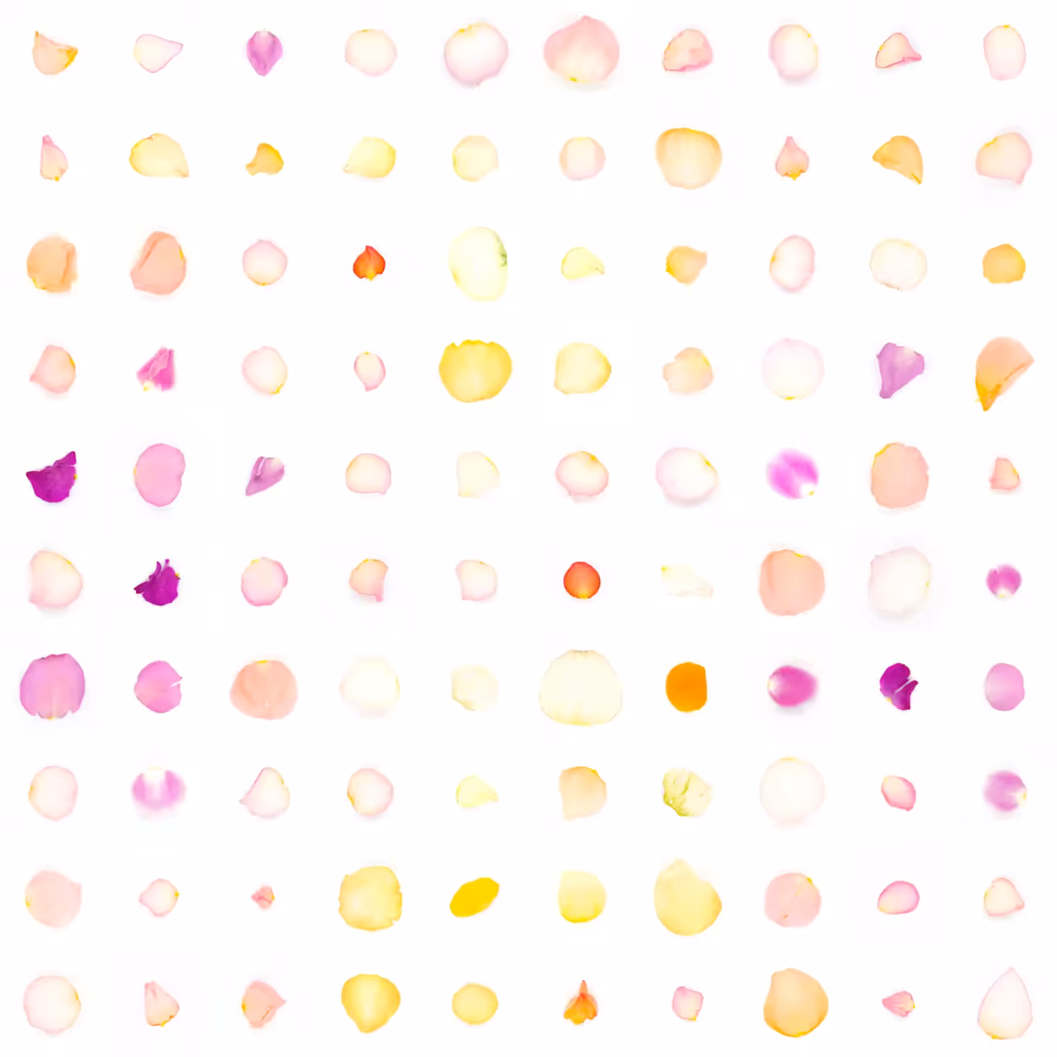 Infinite Petals 10x10#910