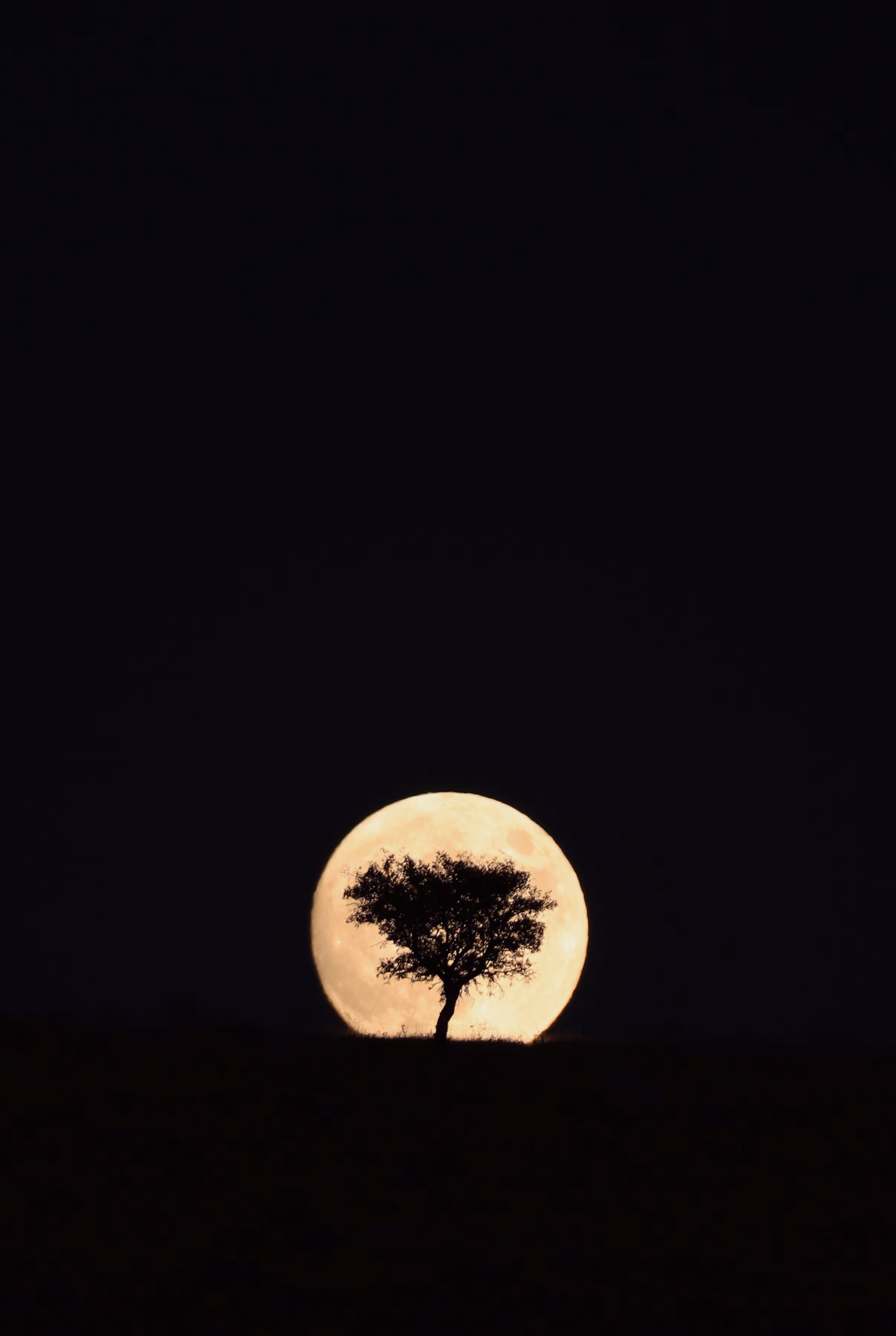 Full Moon