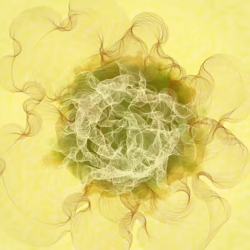 Sunspots #2