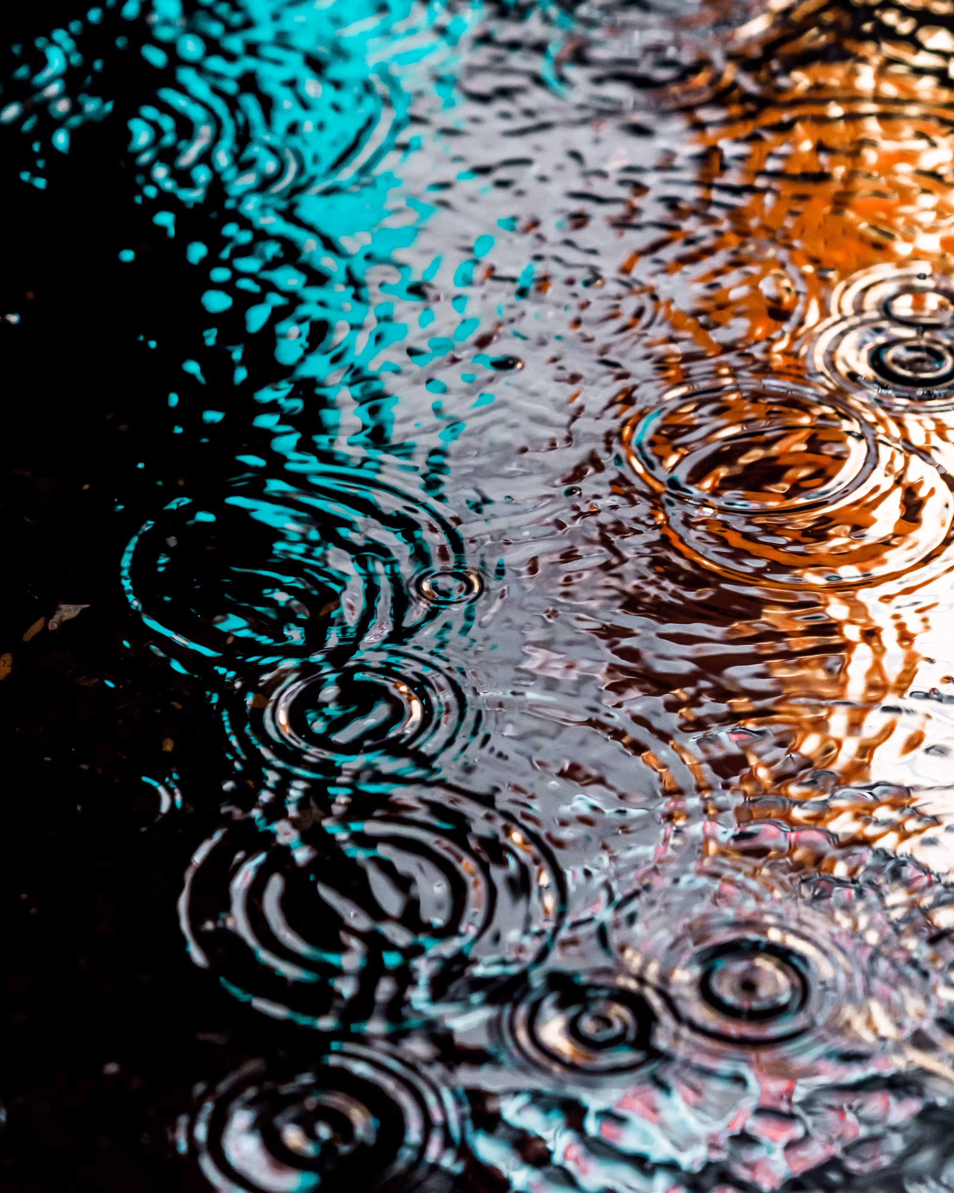 DRIP DROP: DRIP #59