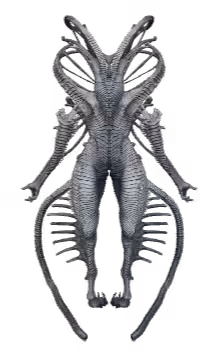 Partially2. Cold Symmetry