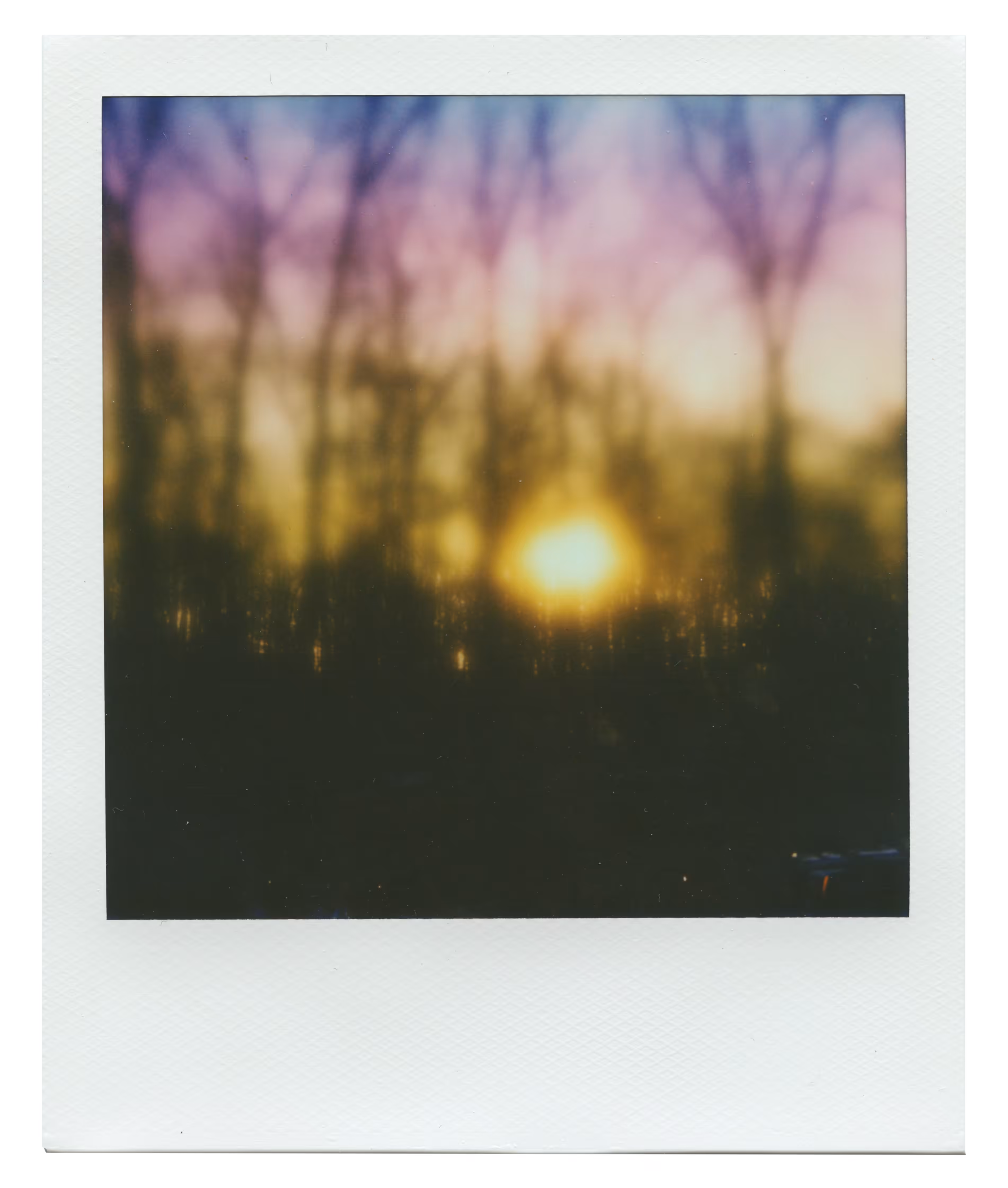 Manifestation